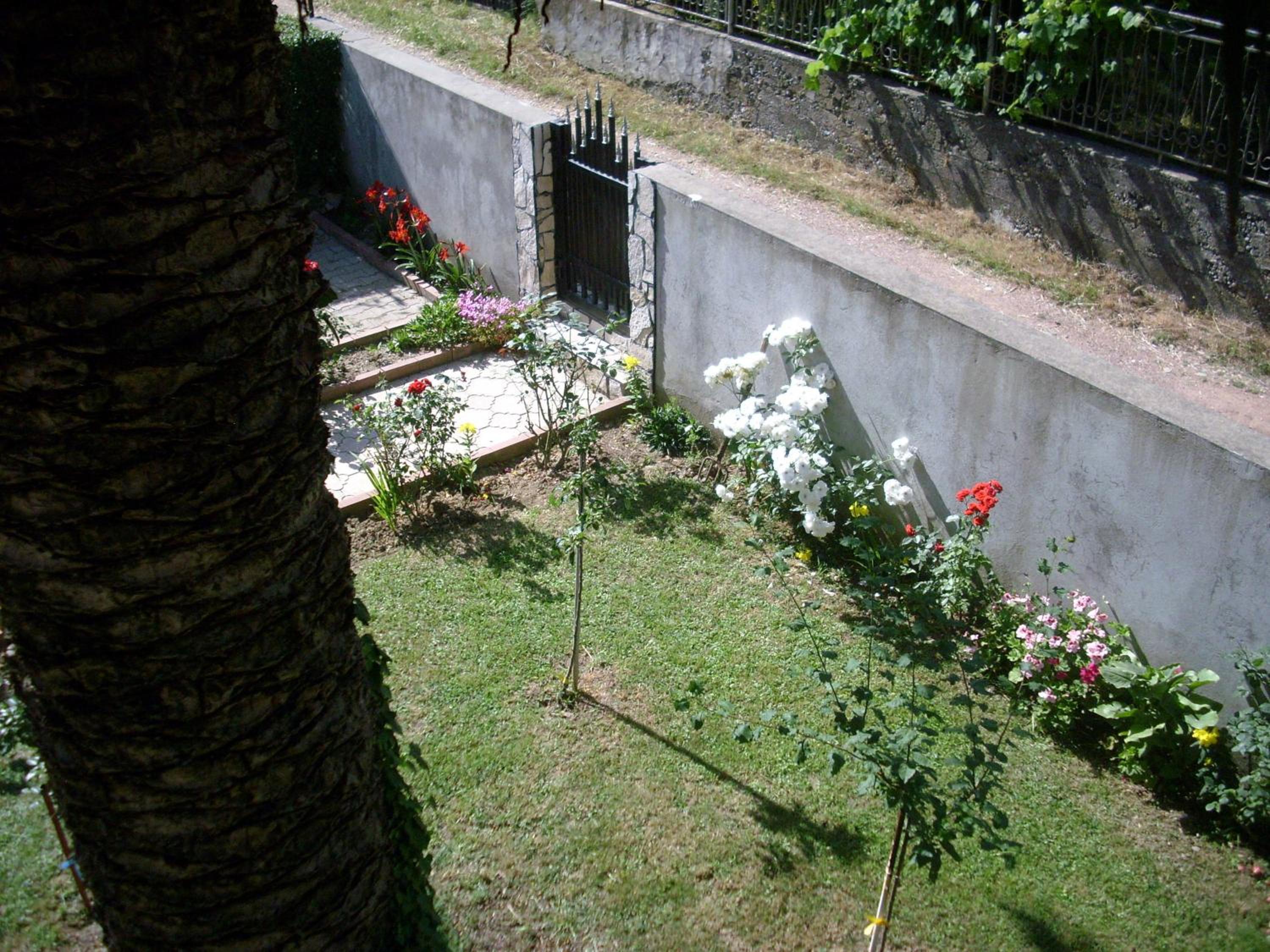 Apartments Lazarević Sutomore
