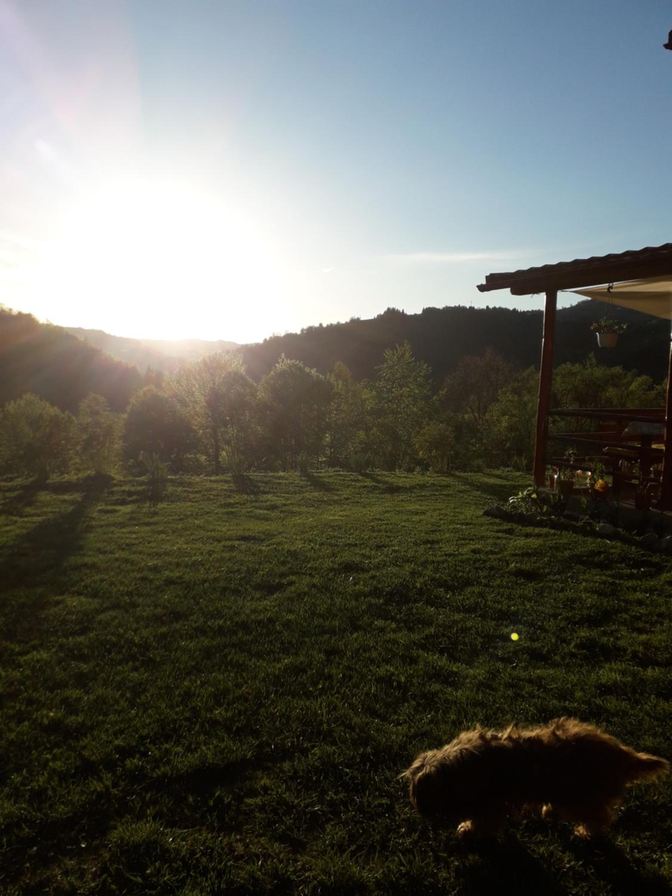 Casa cu Muscate view 4