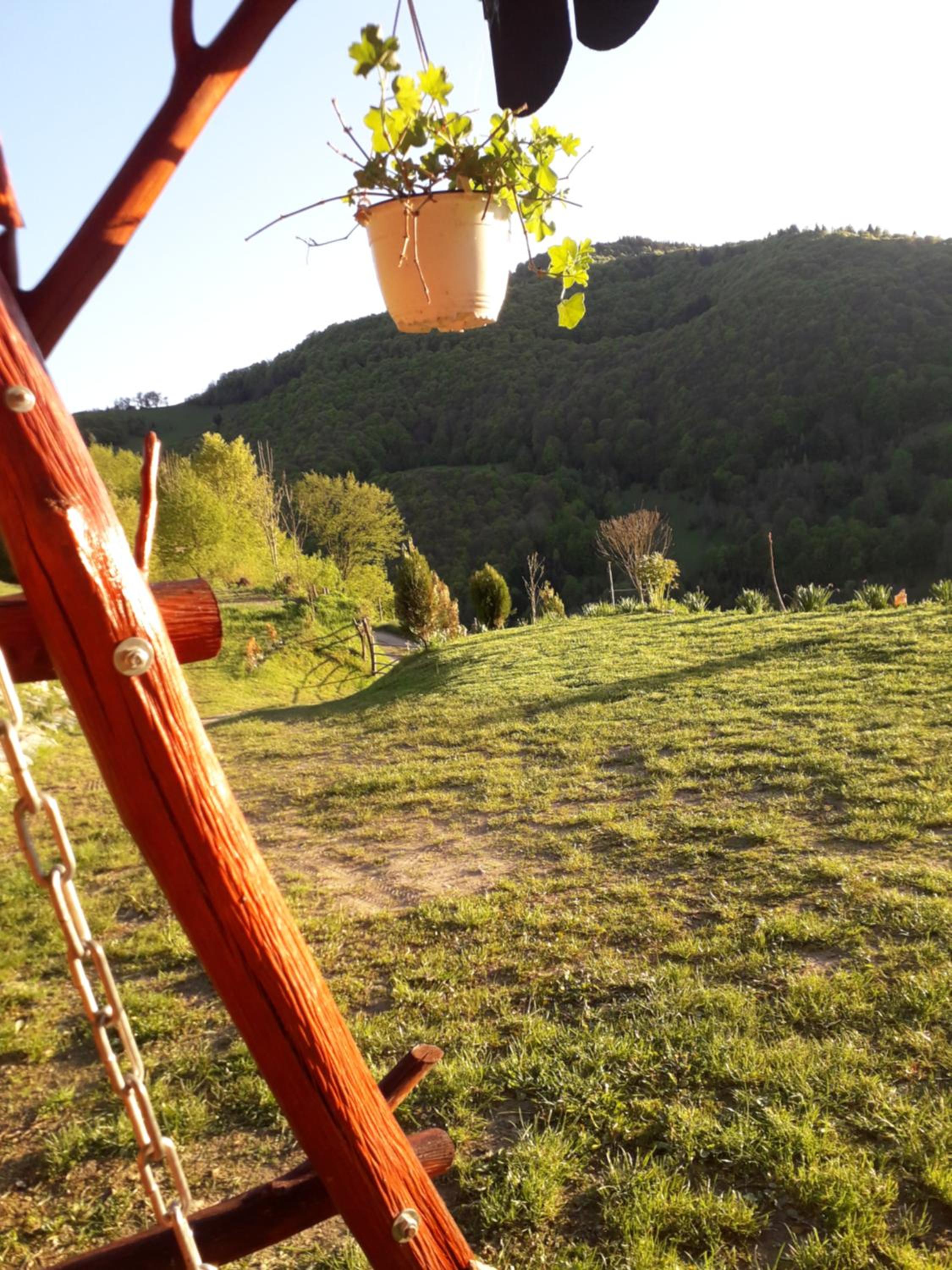 Casa cu Muscate view 5