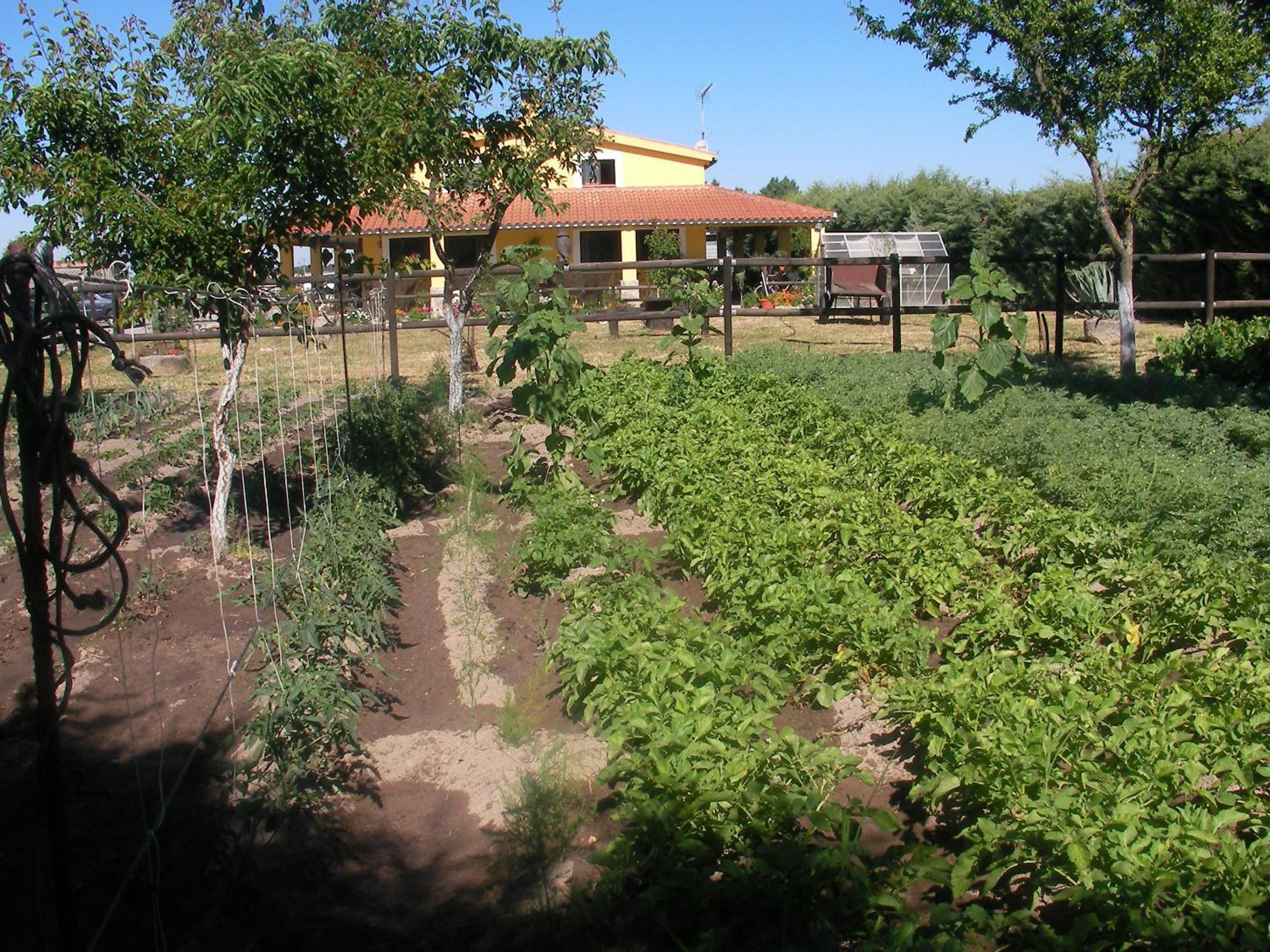 Photo 17