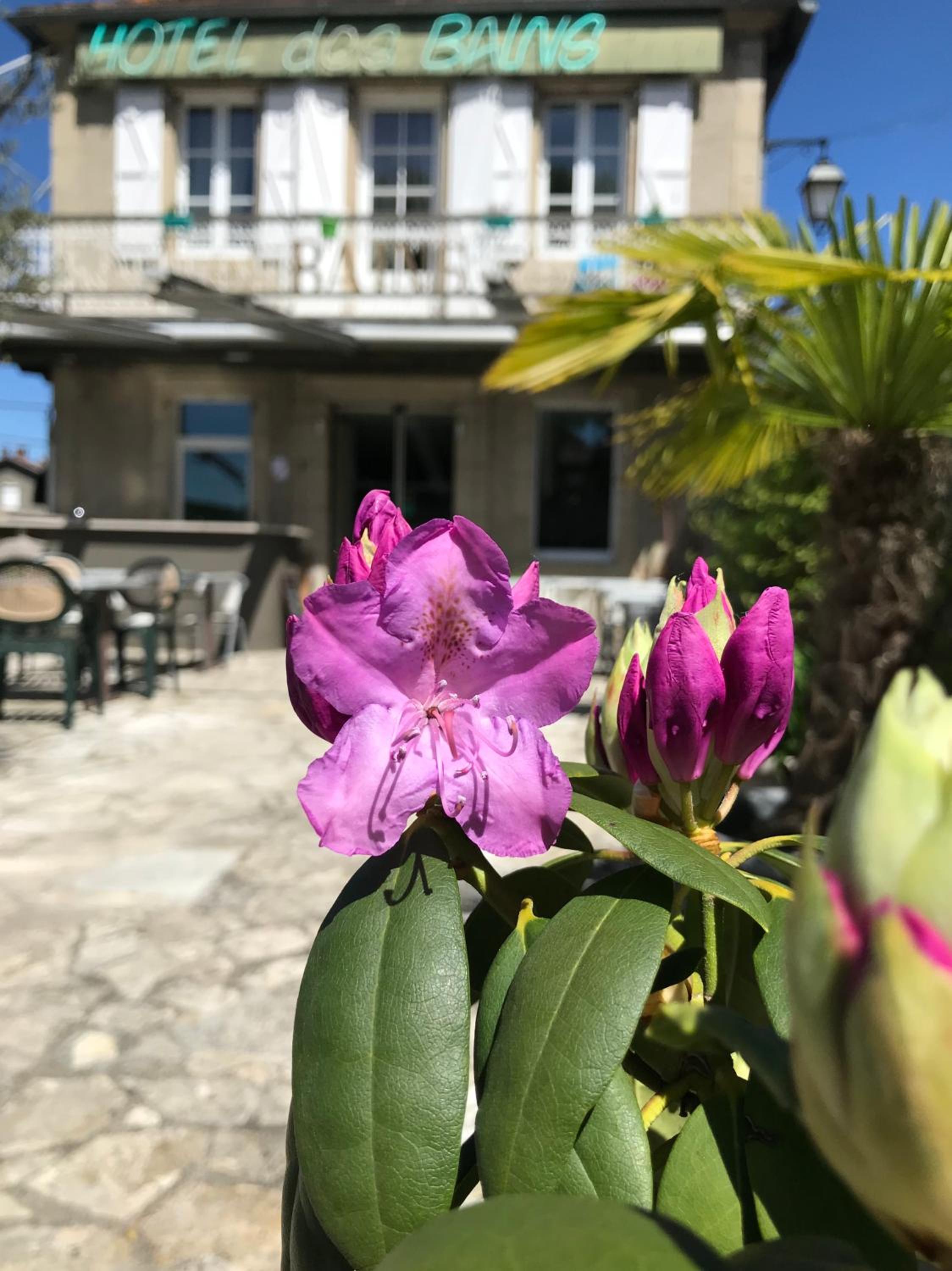 Hôtel des Bains, photo 17