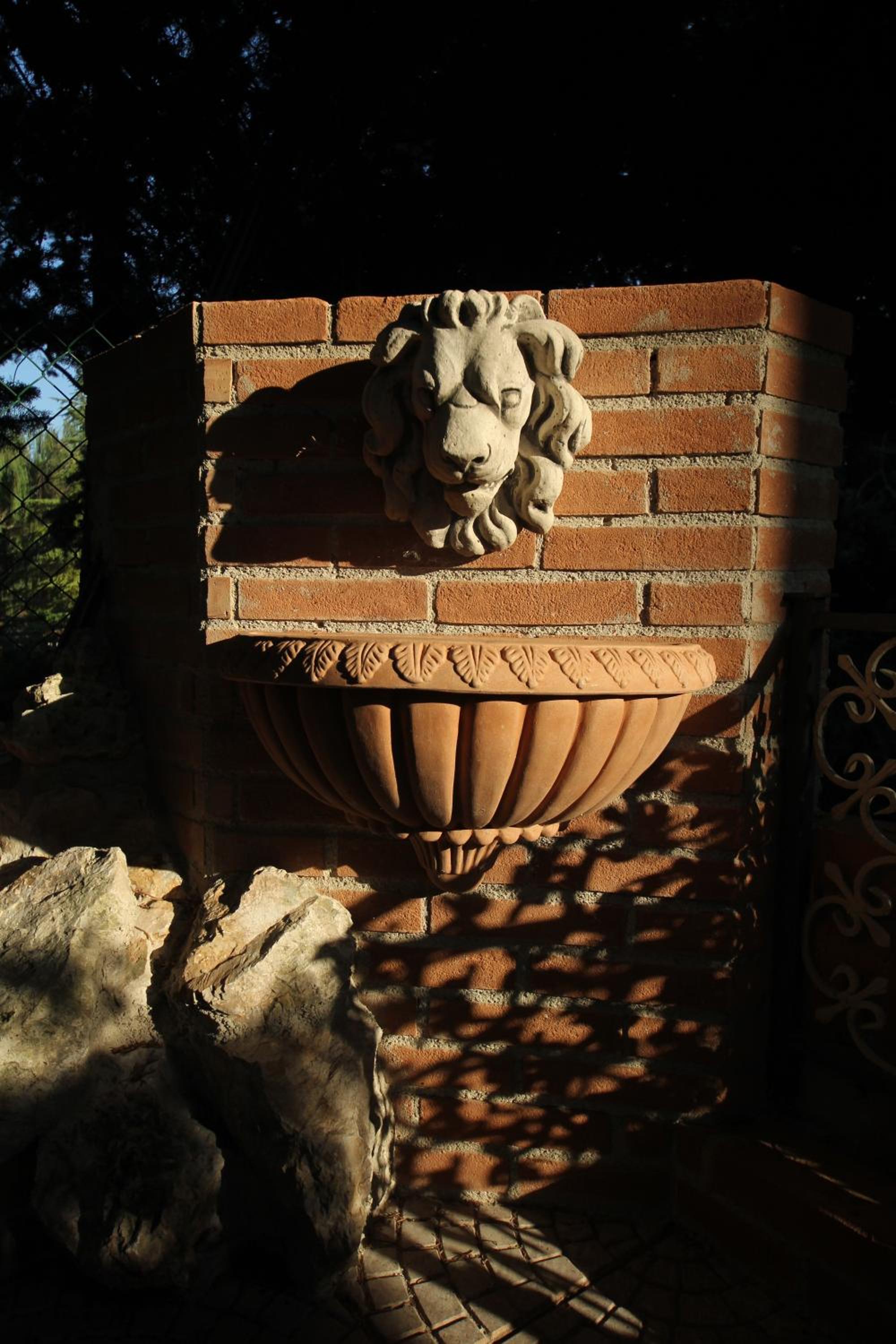 Photo 7