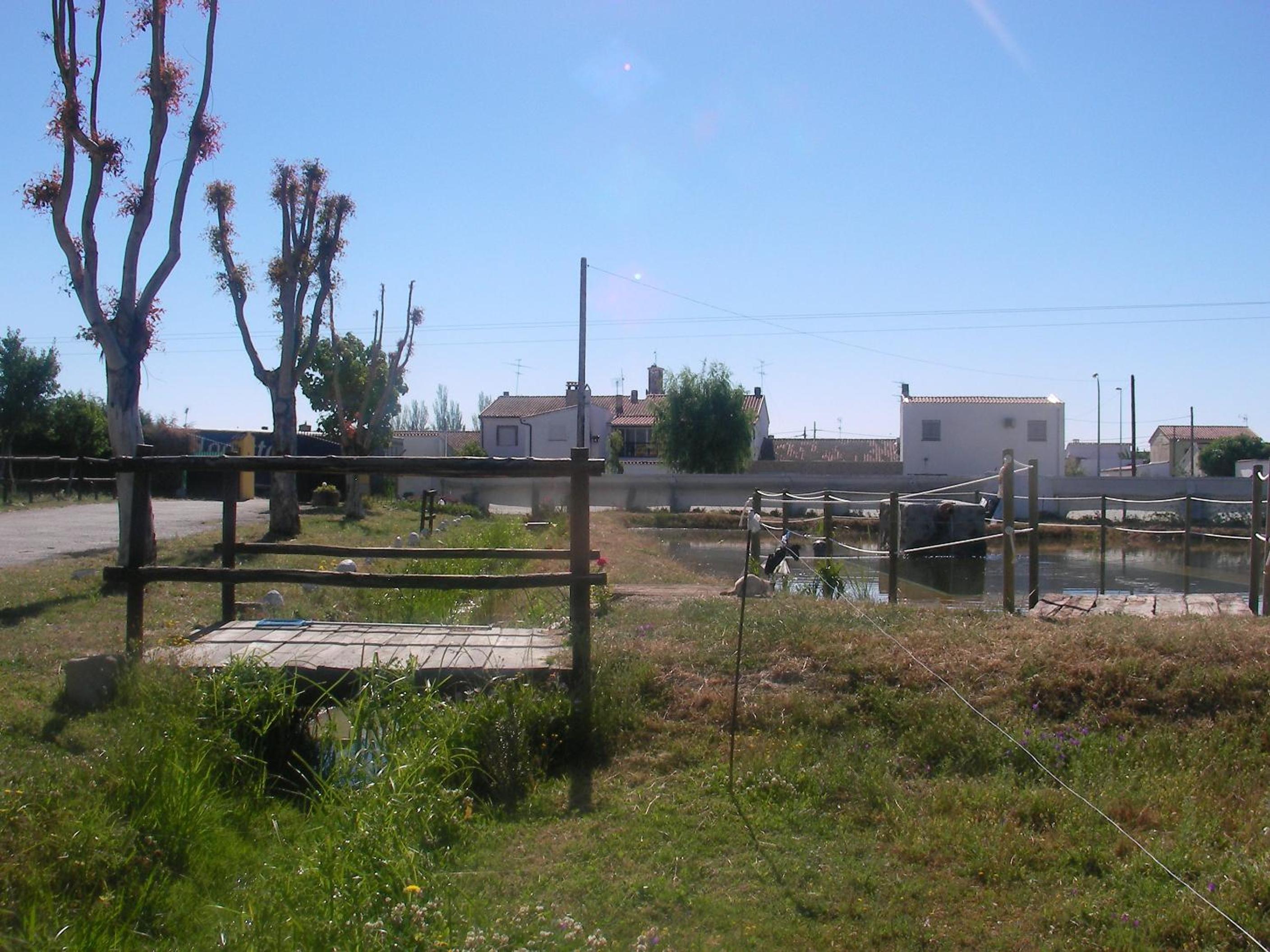 Photo 42