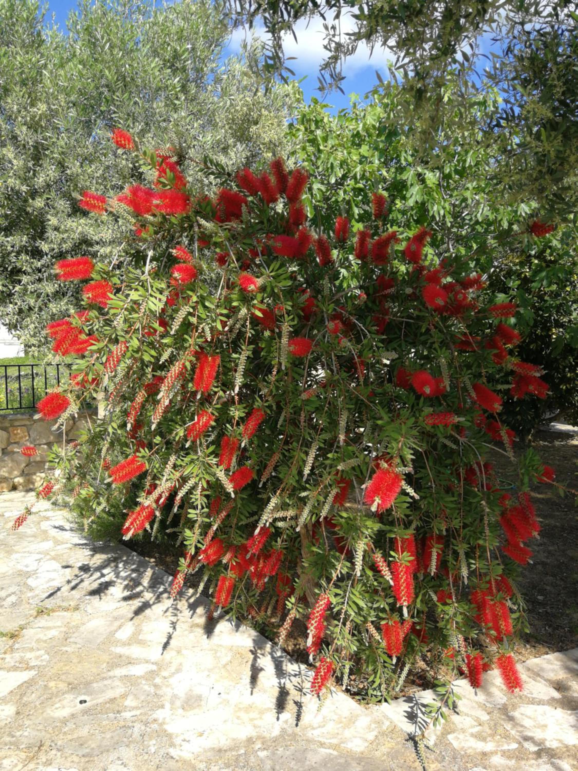 Photo 27