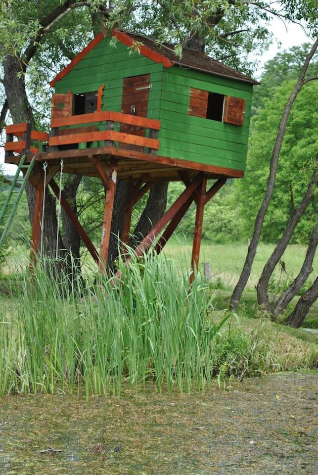 Kán-Forrest House with a View view 4