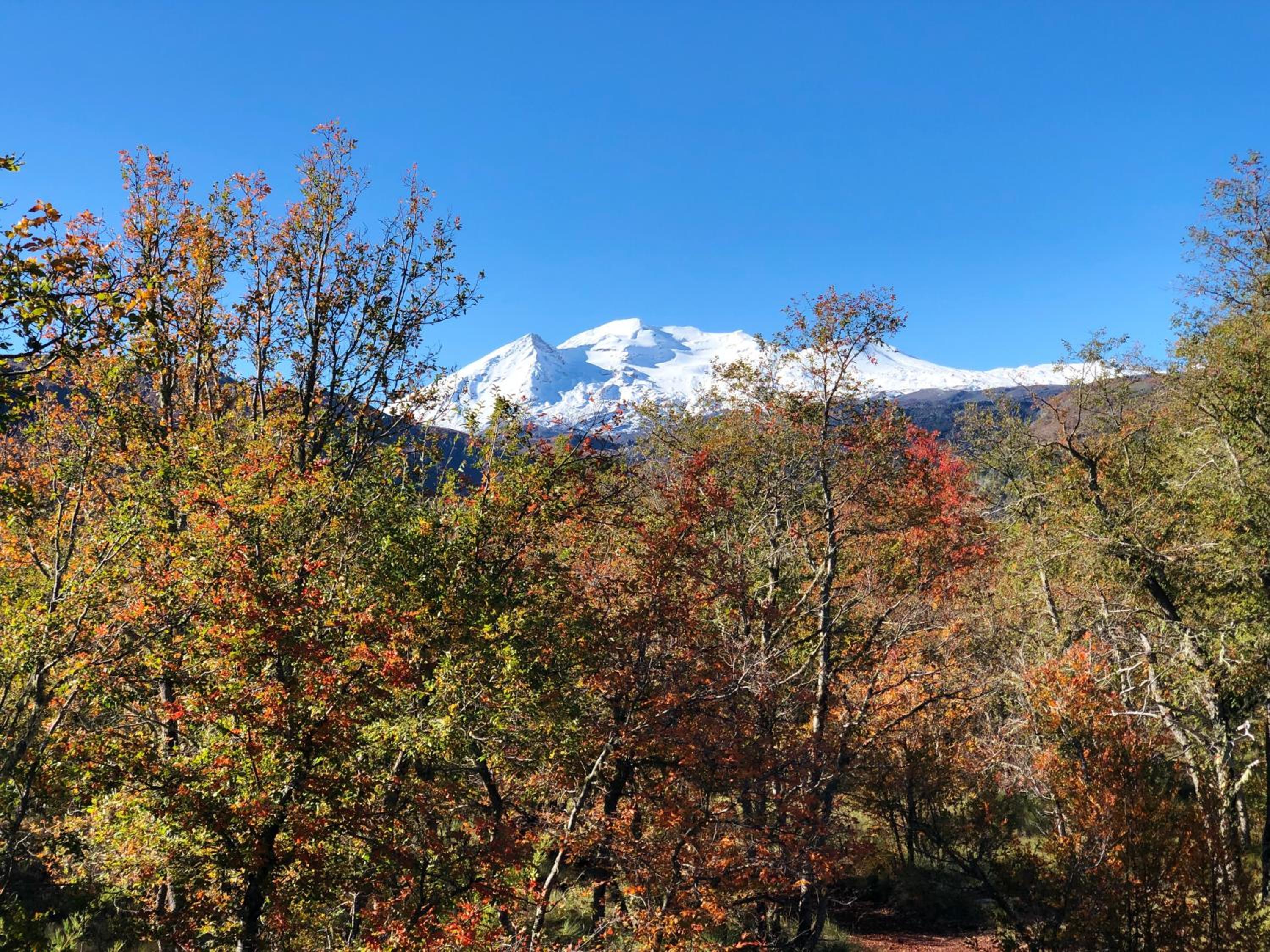 Chalet Ciprés