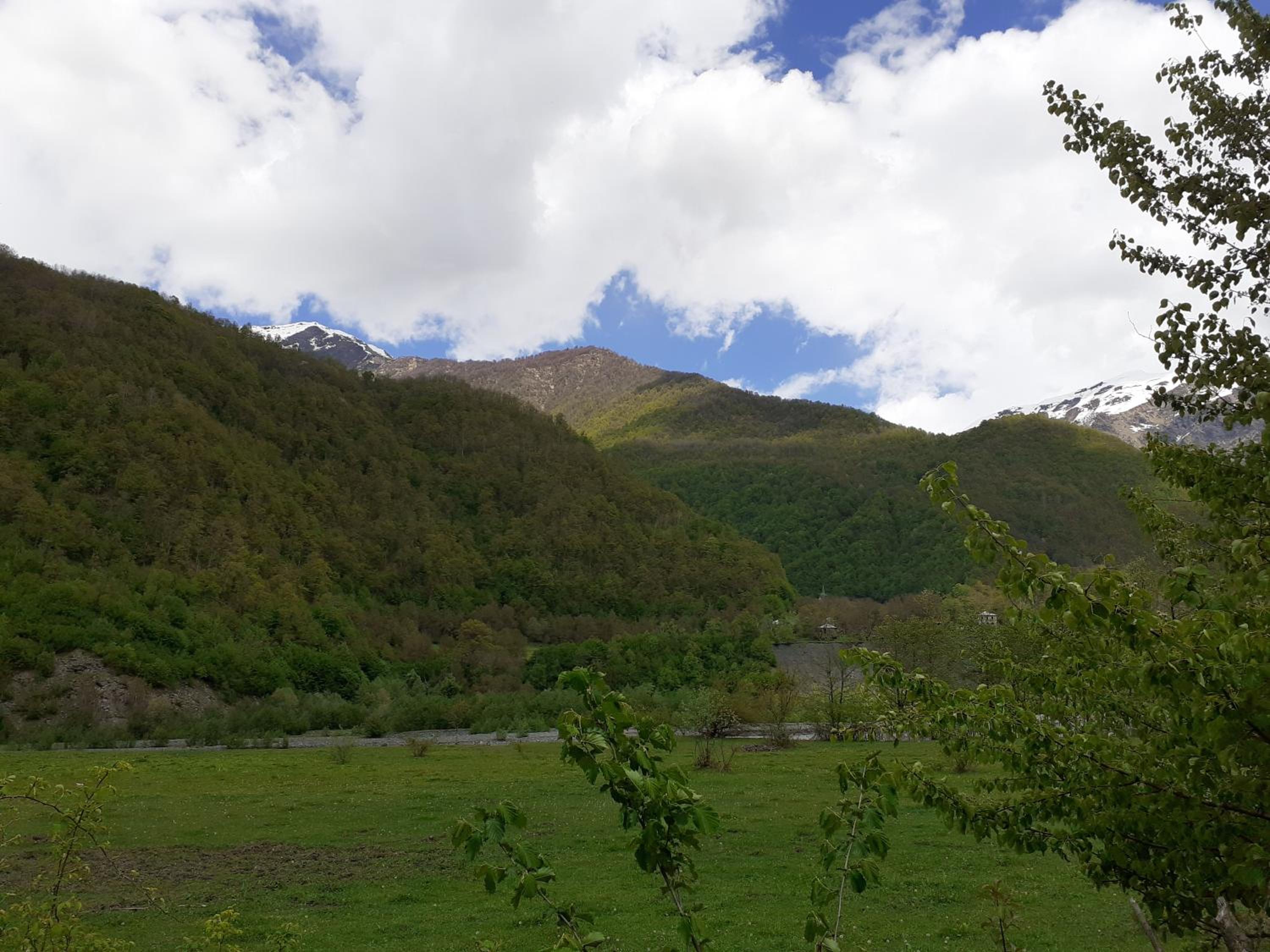Photo 31