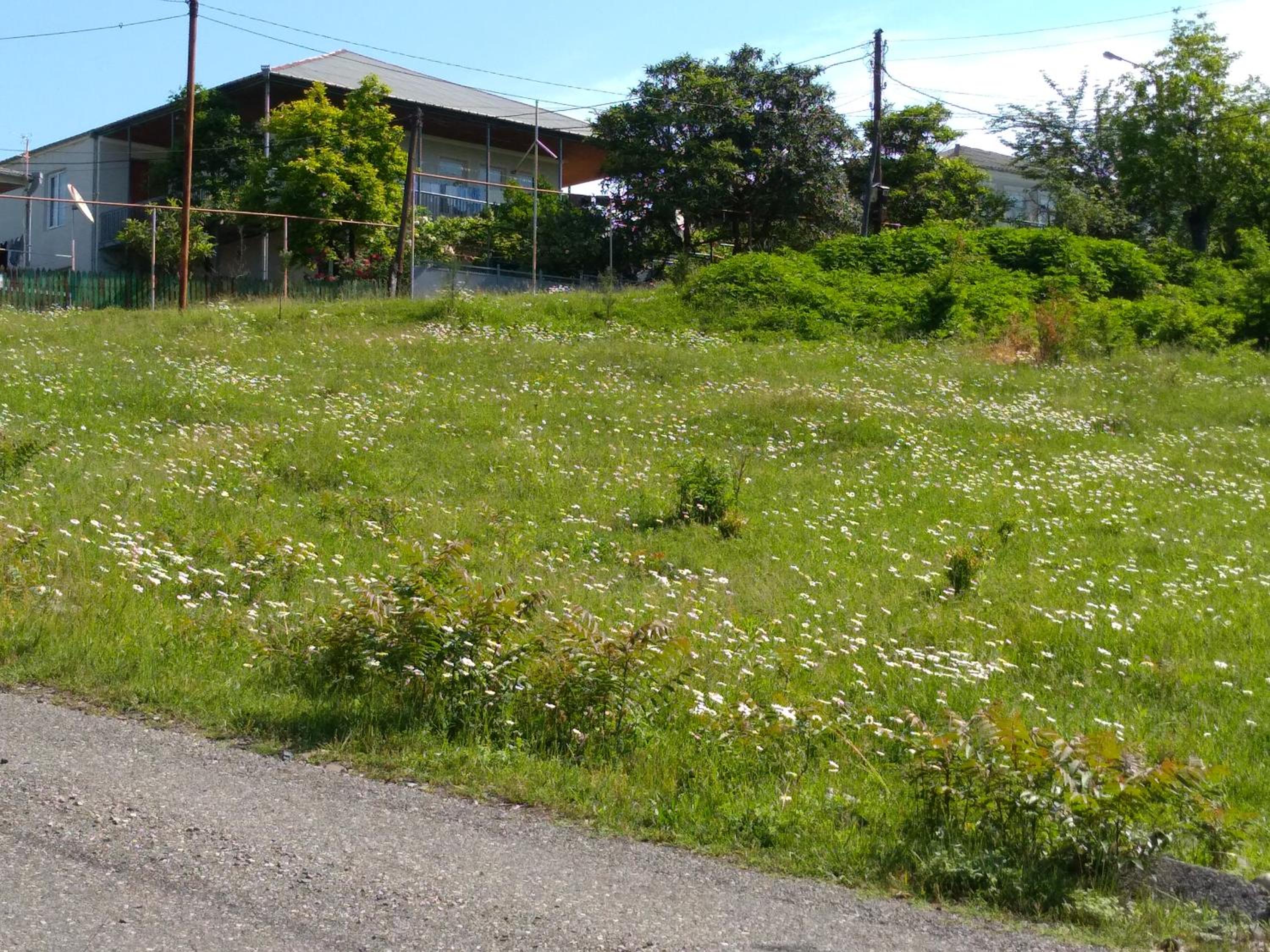 Photo 37