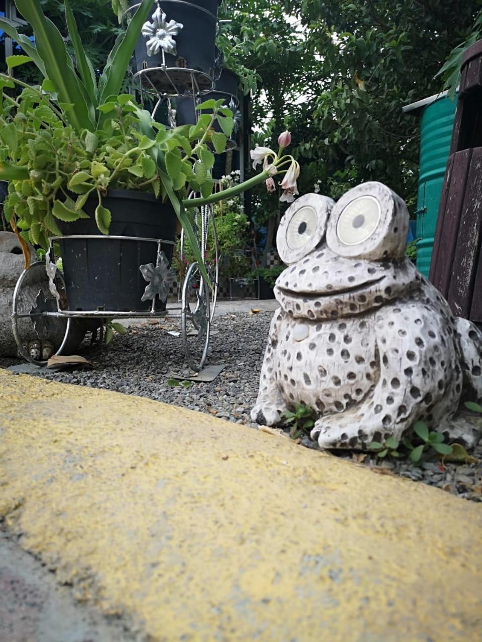 Happiness Farm