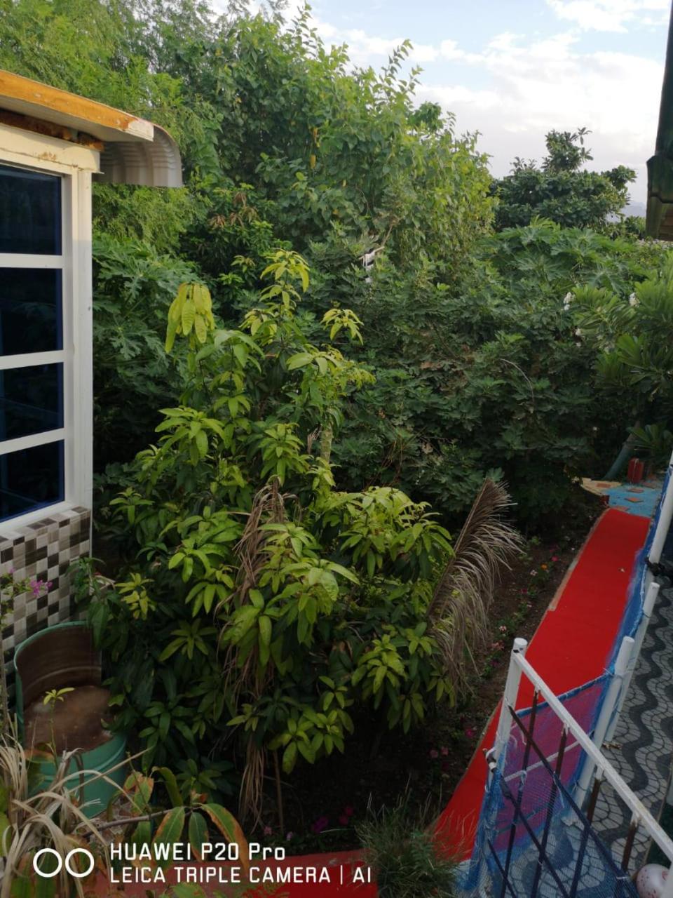 Happiness Farm
