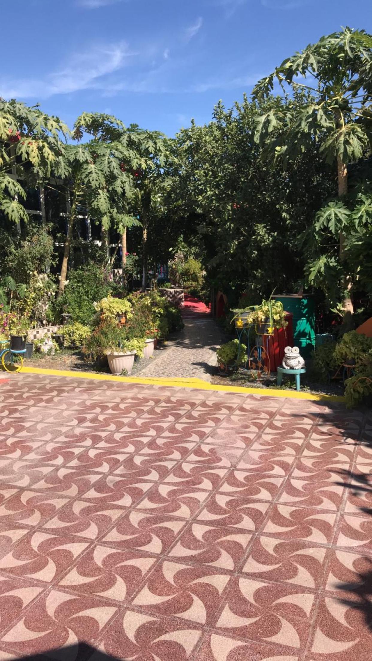 Happiness Farm