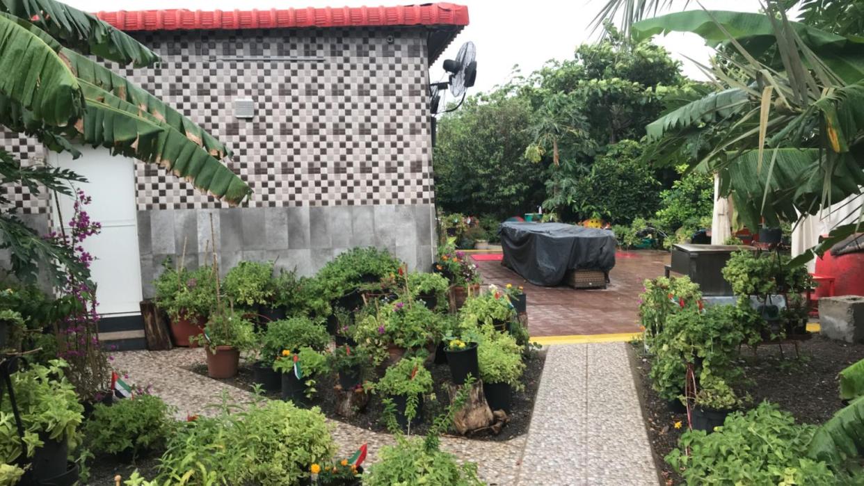 Happiness Farm