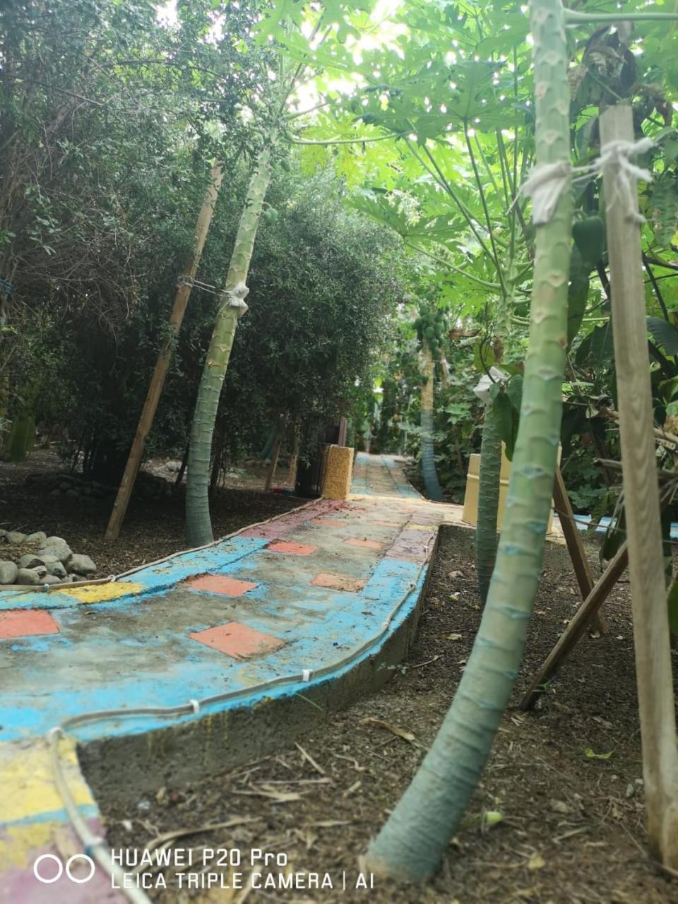 Happiness Farm