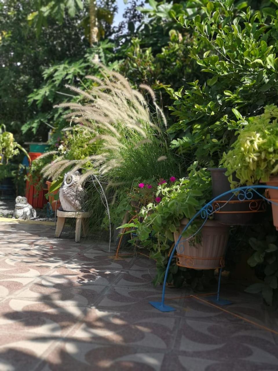 Happiness Farm