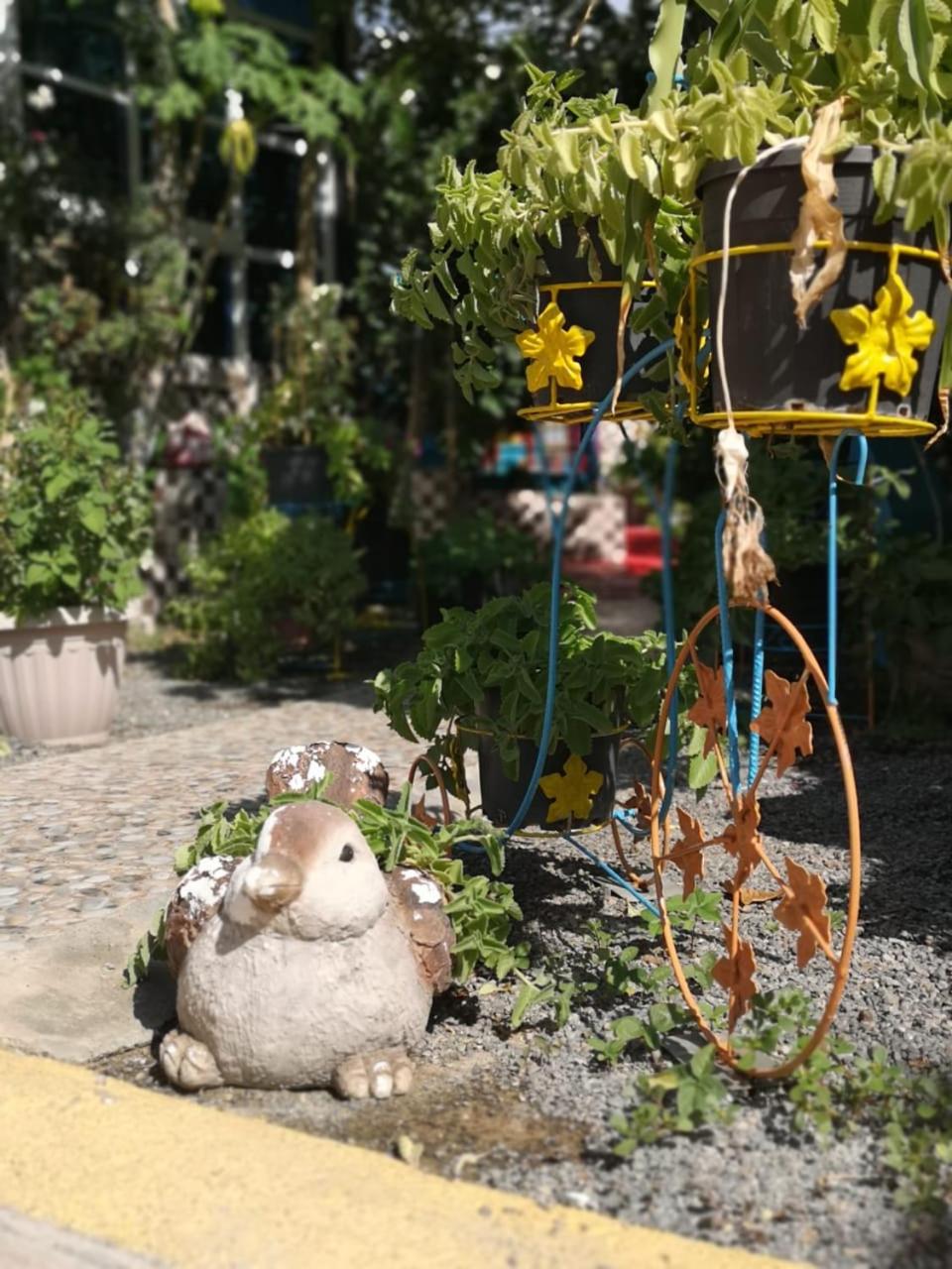 Happiness Farm