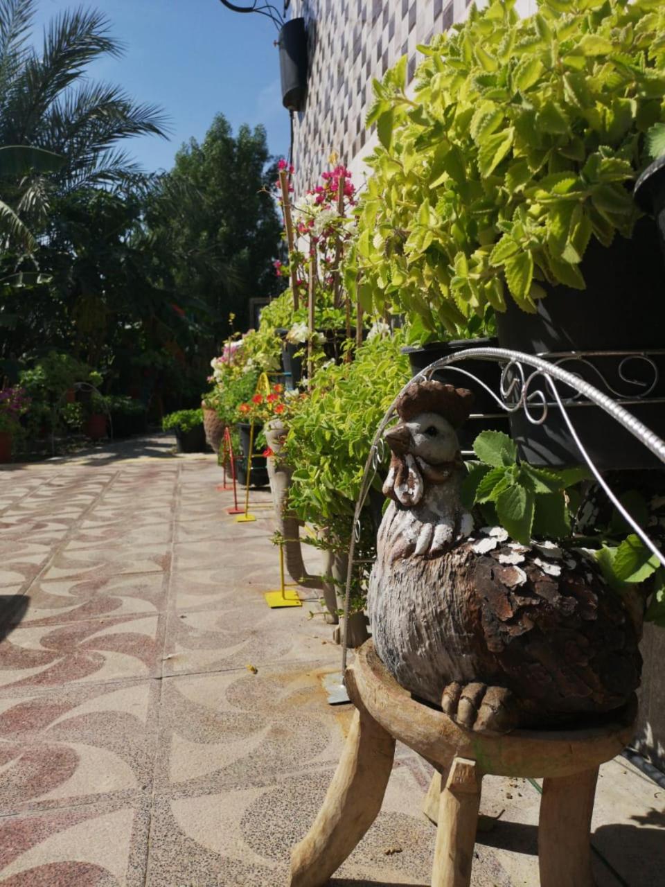 Happiness Farm