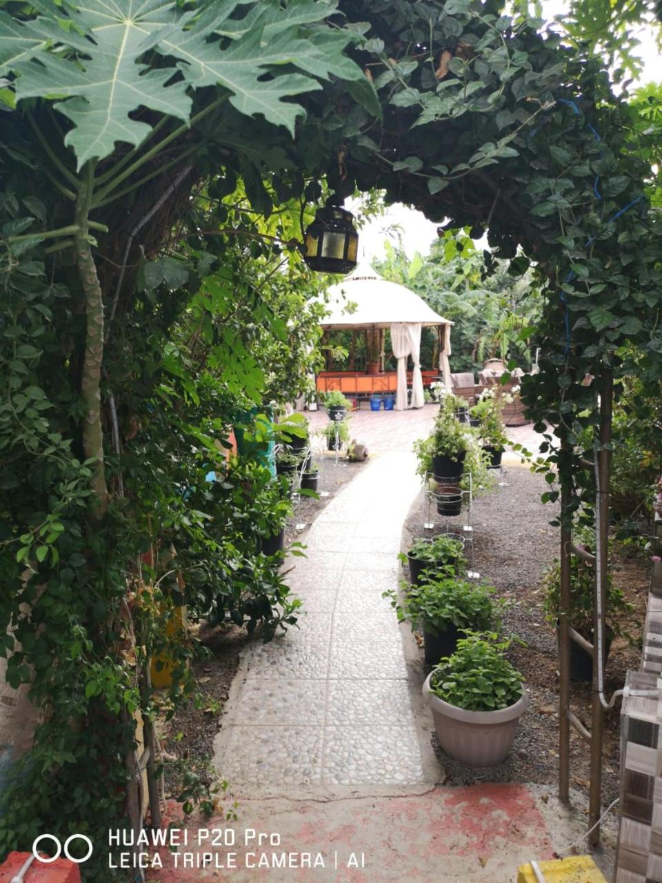 Happiness Farm