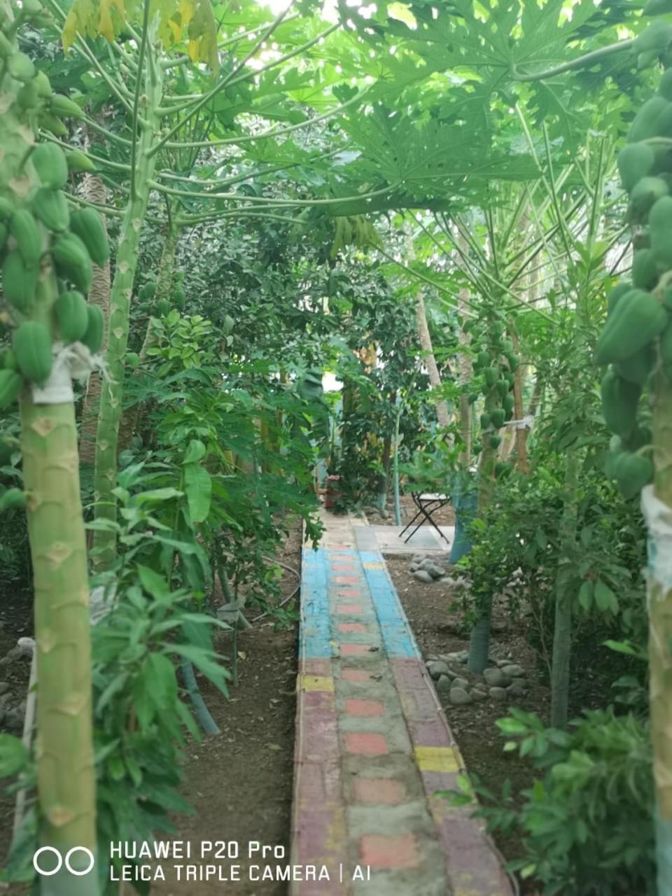 Happiness Farm