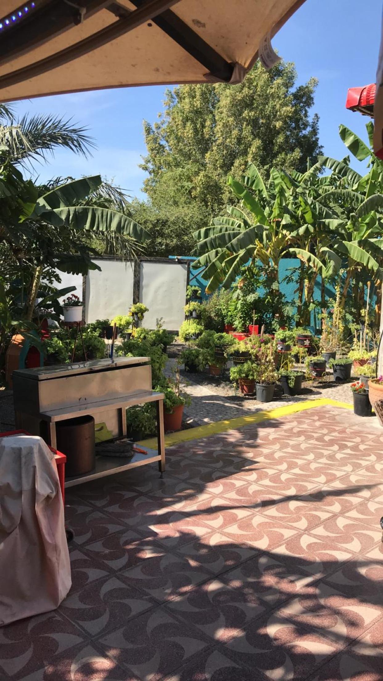 Happiness Farm