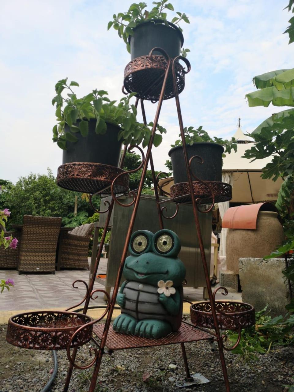 Happiness Farm