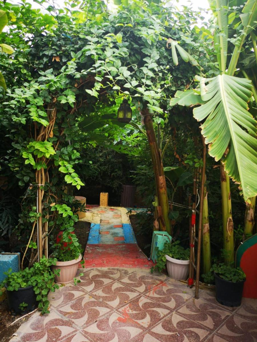 Happiness Farm