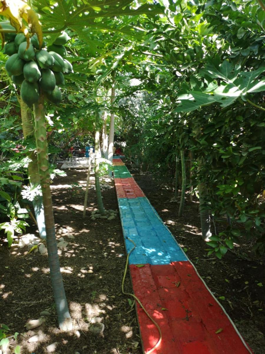 Happiness Farm