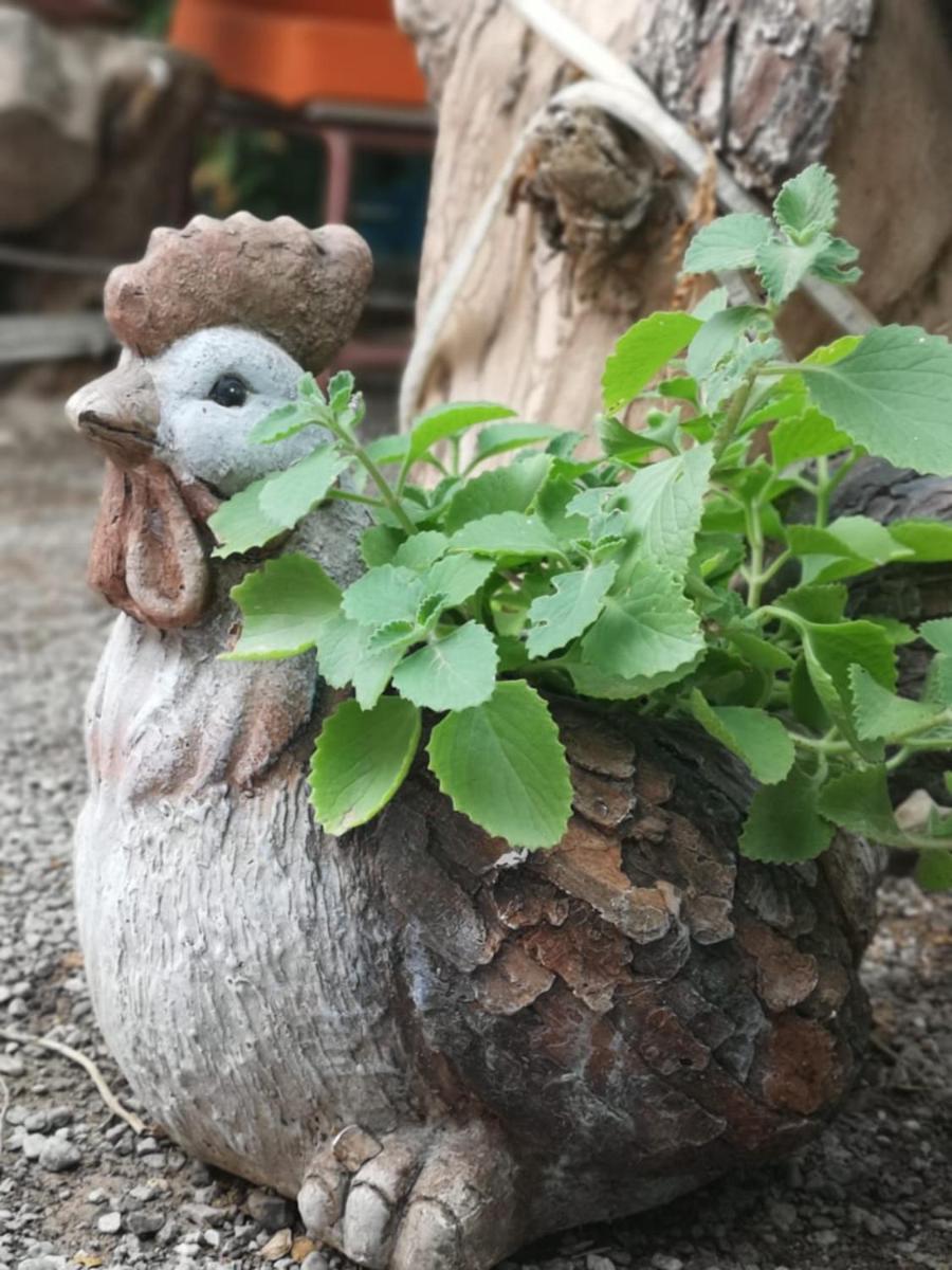 Happiness Farm