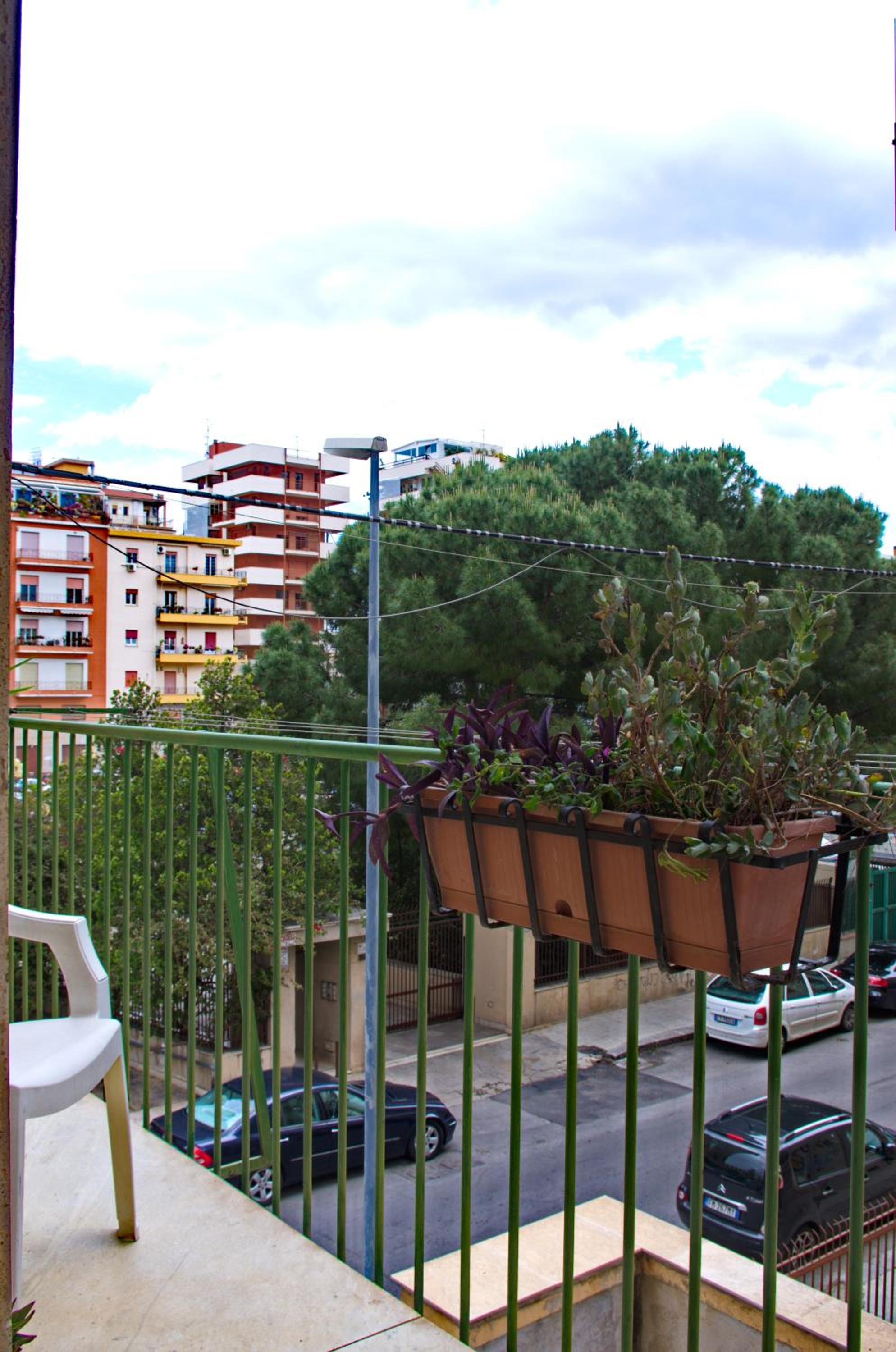 Photo 43