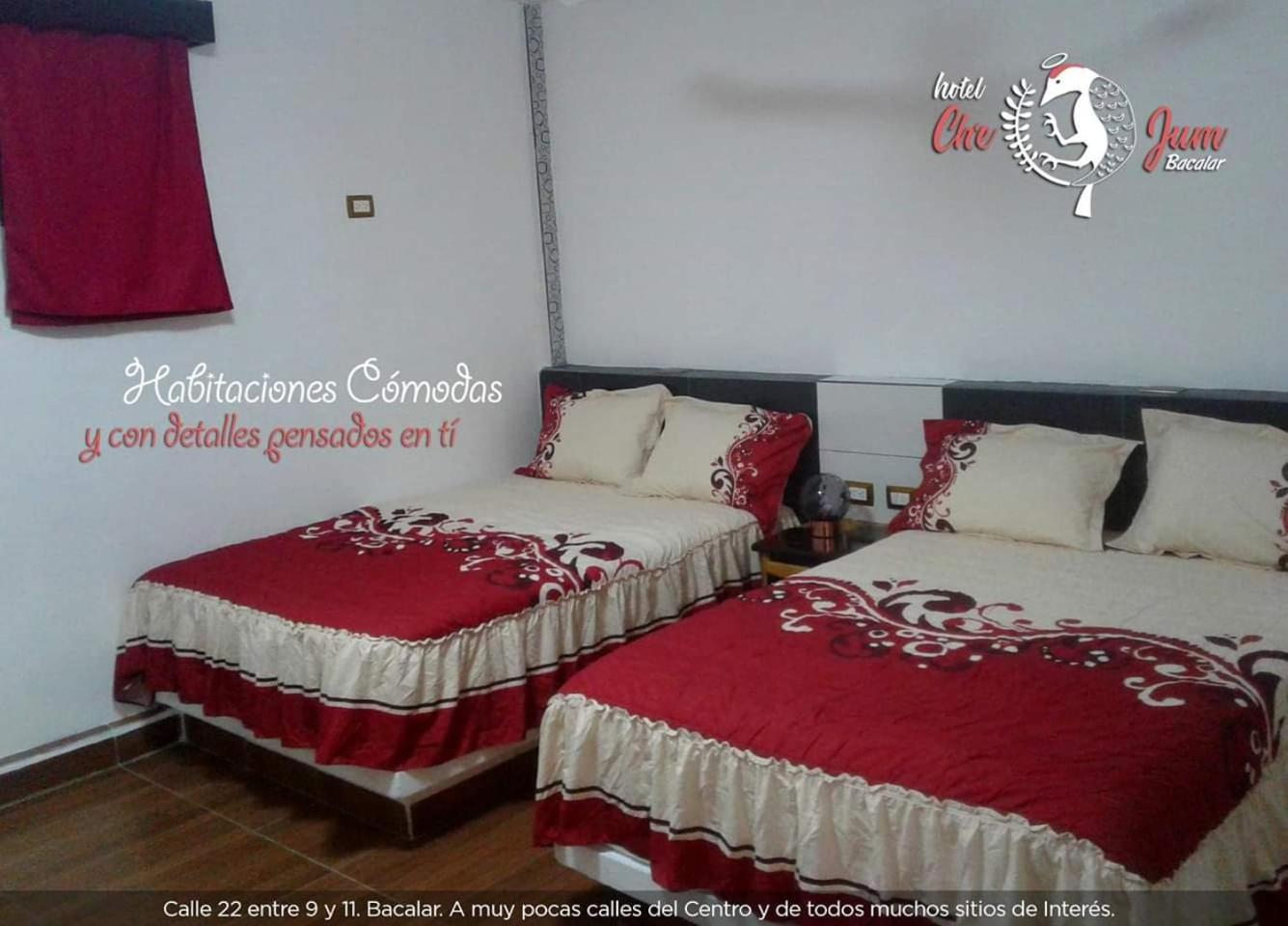 Photo 8