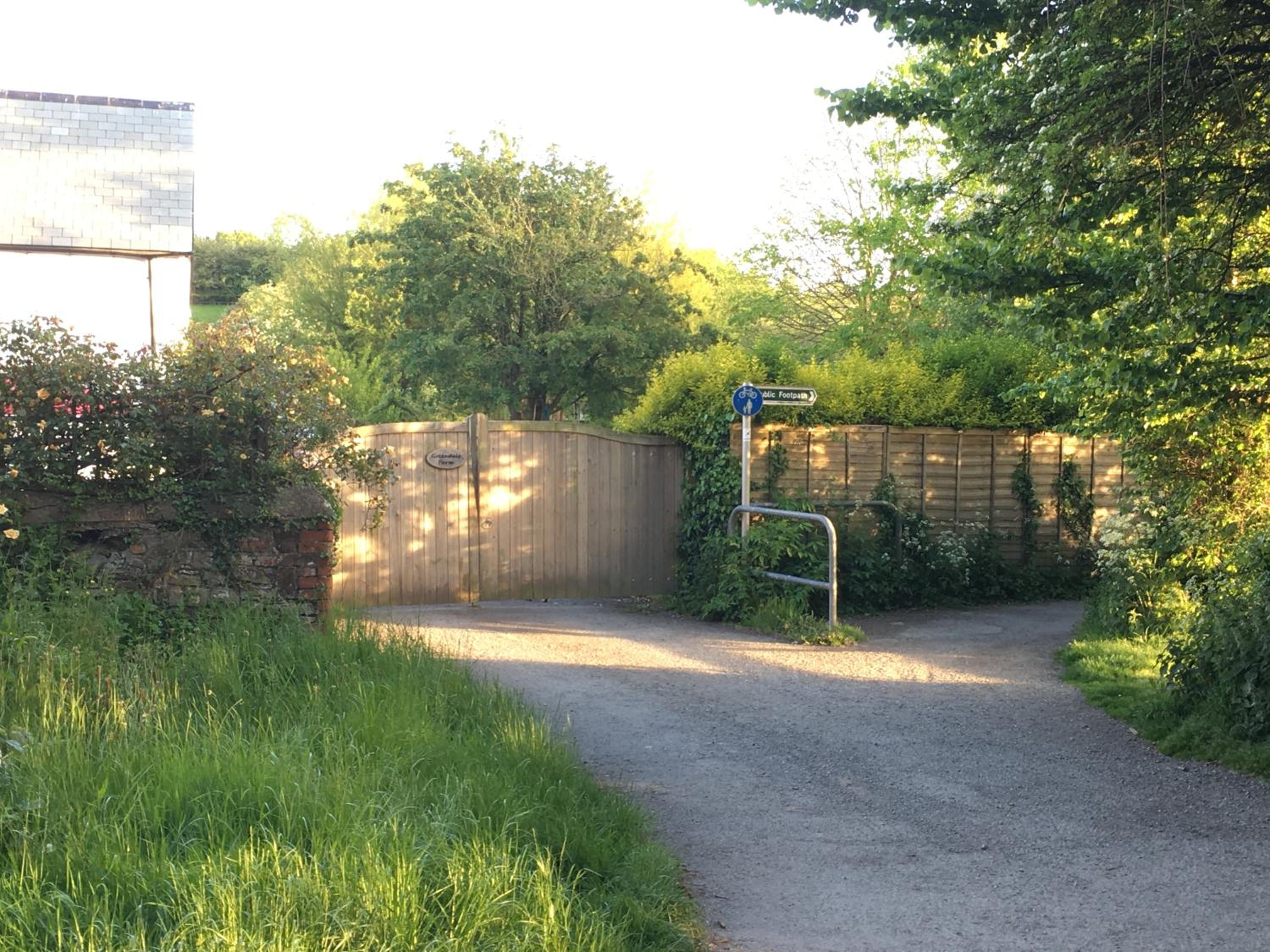 Photo 26