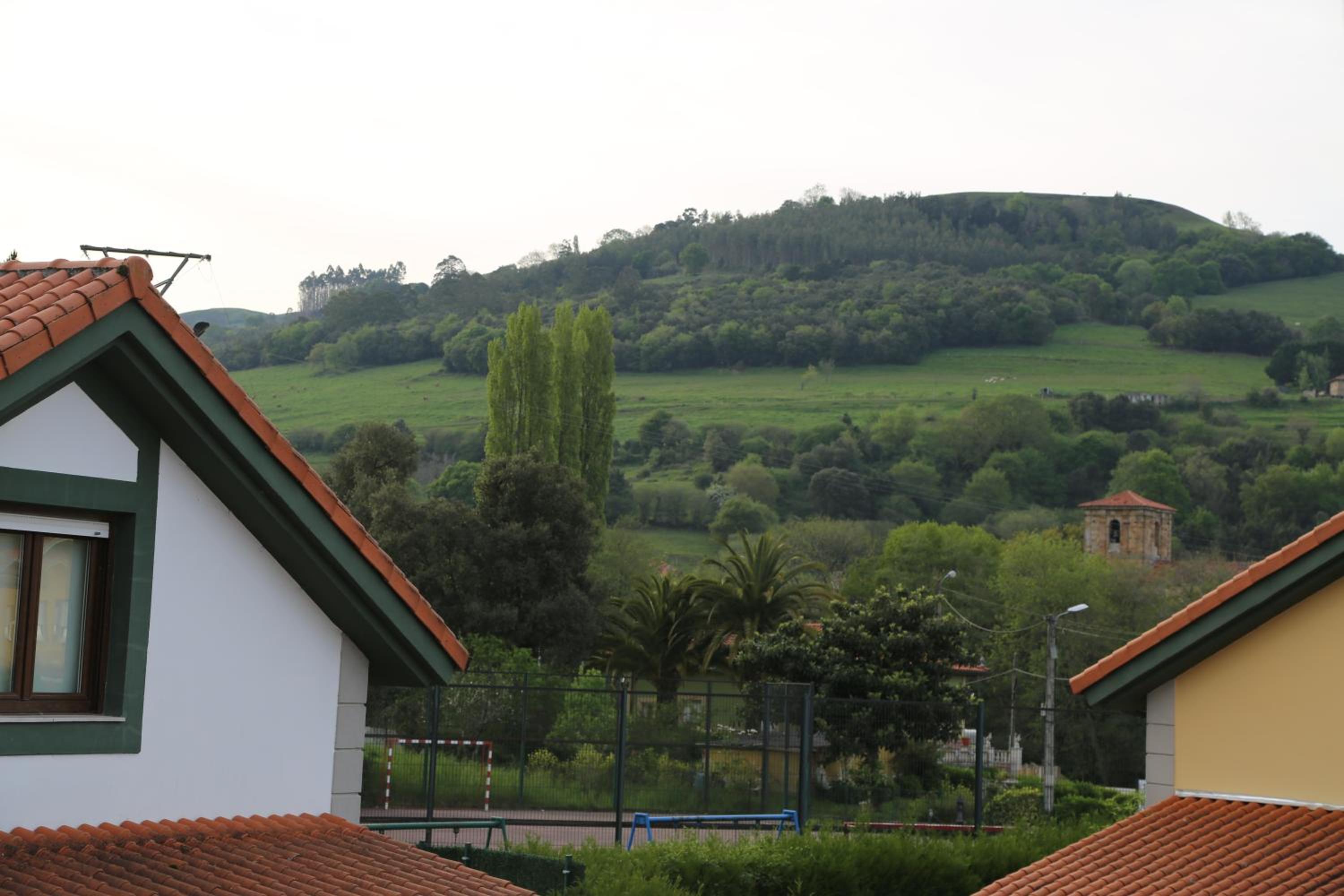 Photo 50