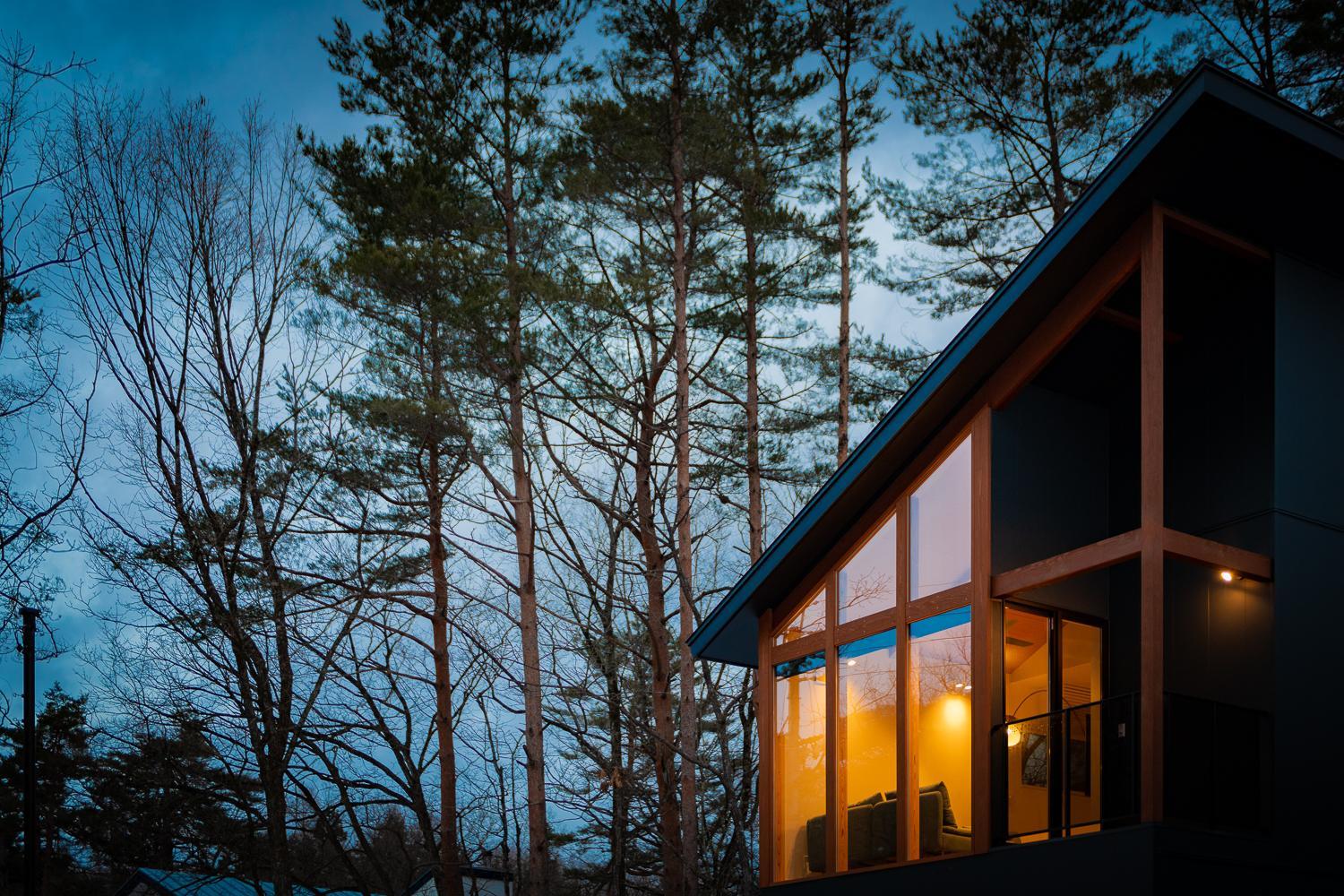 Black Crane Chalet by Hakuba White Fox Company view 4