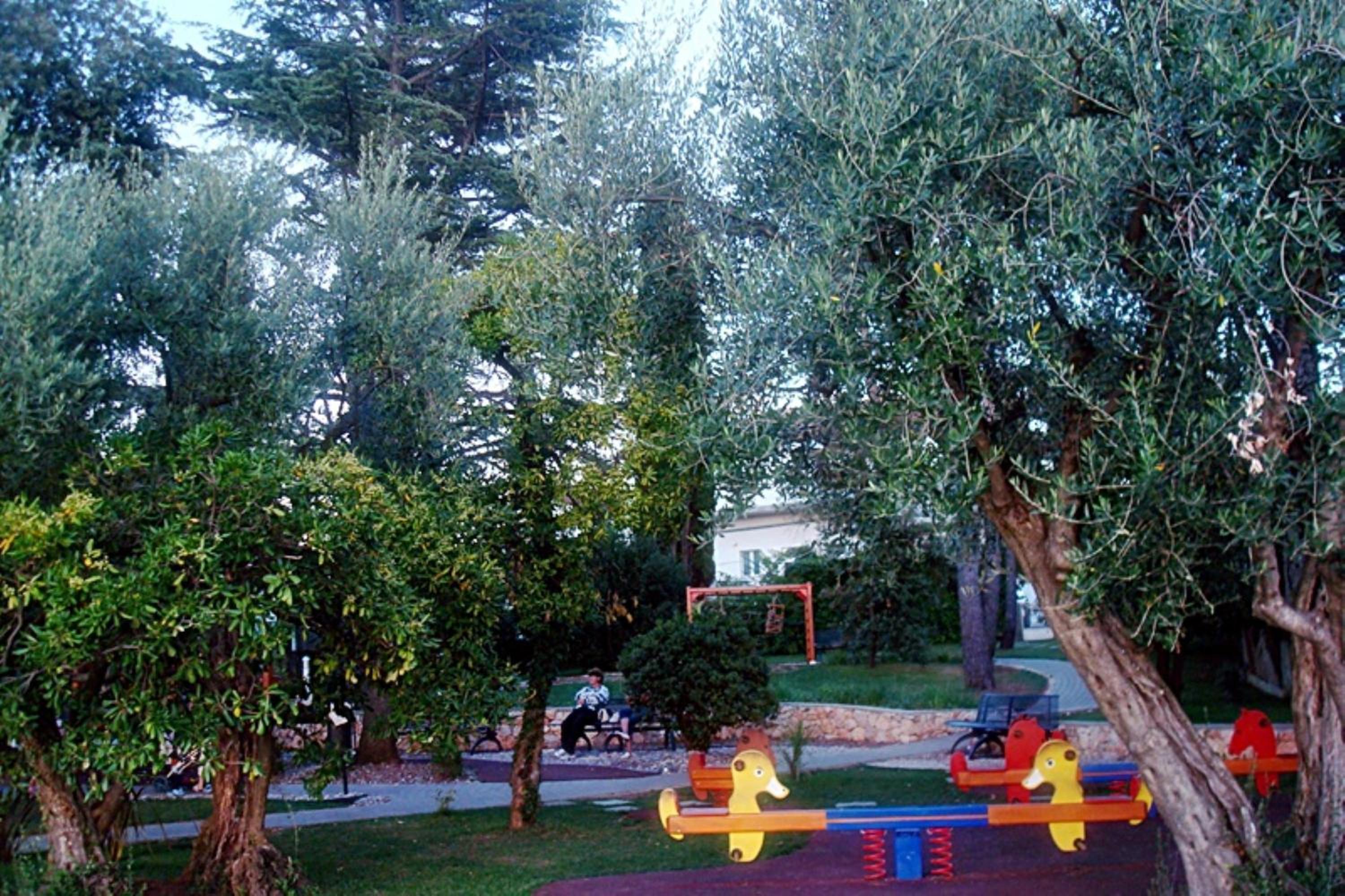 Photo 42