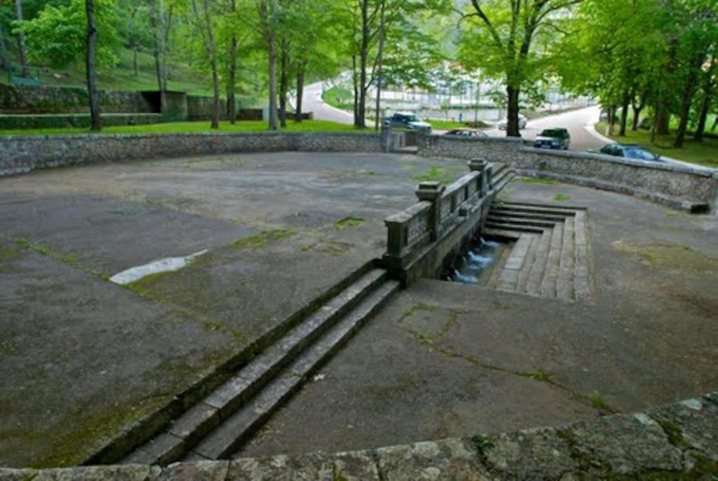 Photo 38