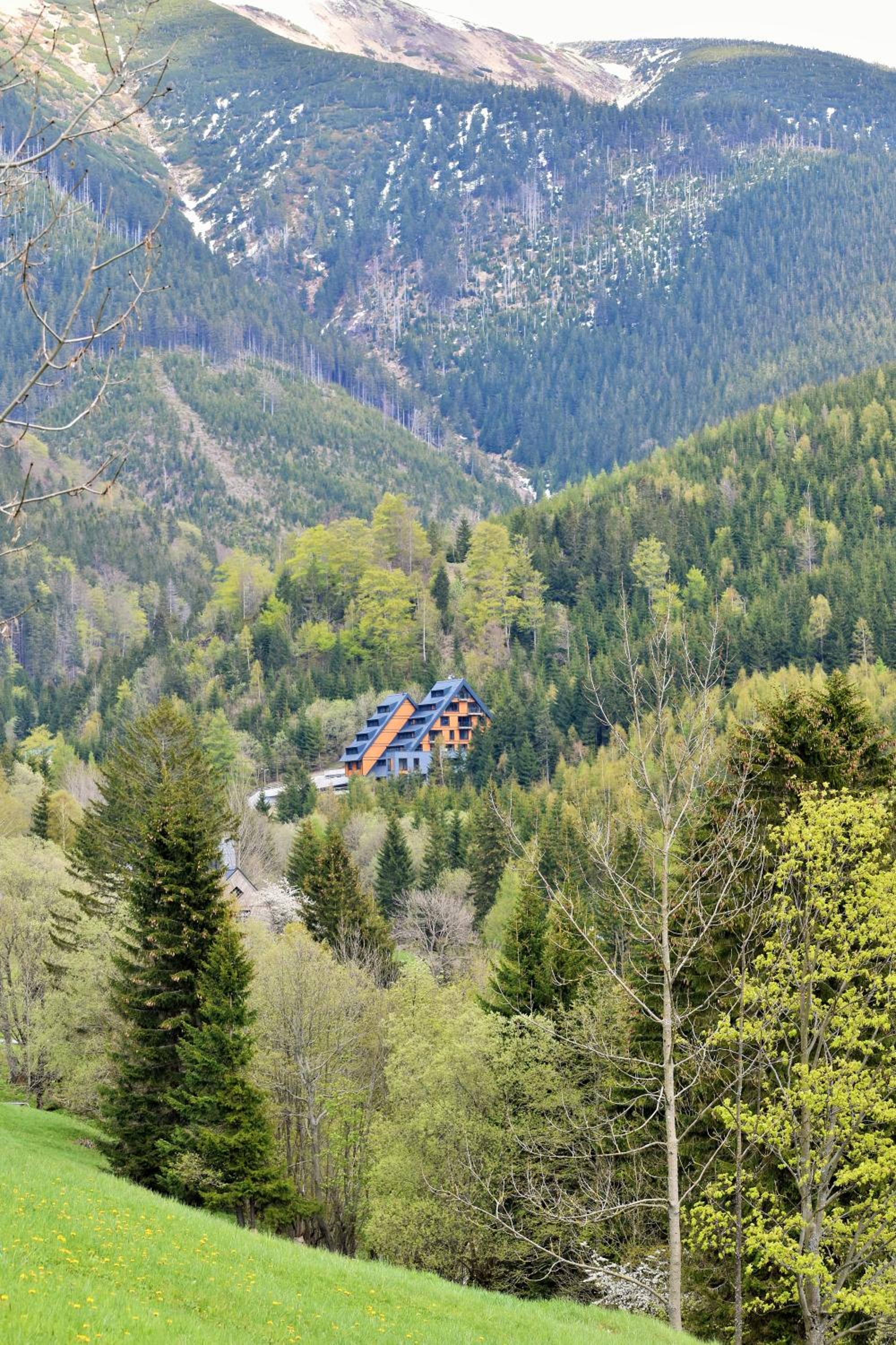 Luxury Apartments Adelka