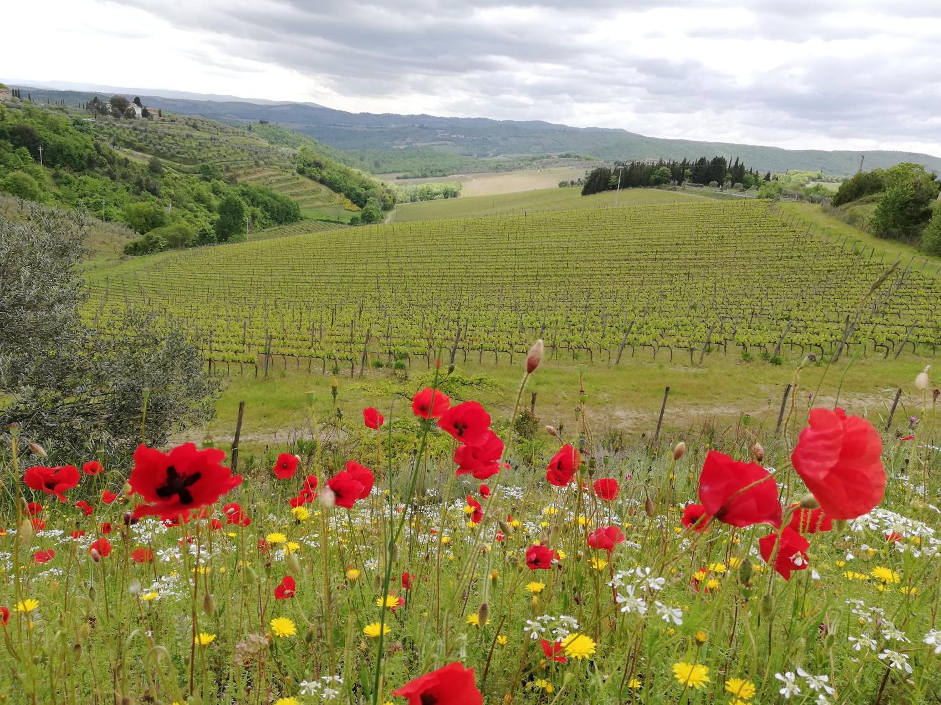 Agriturismo 