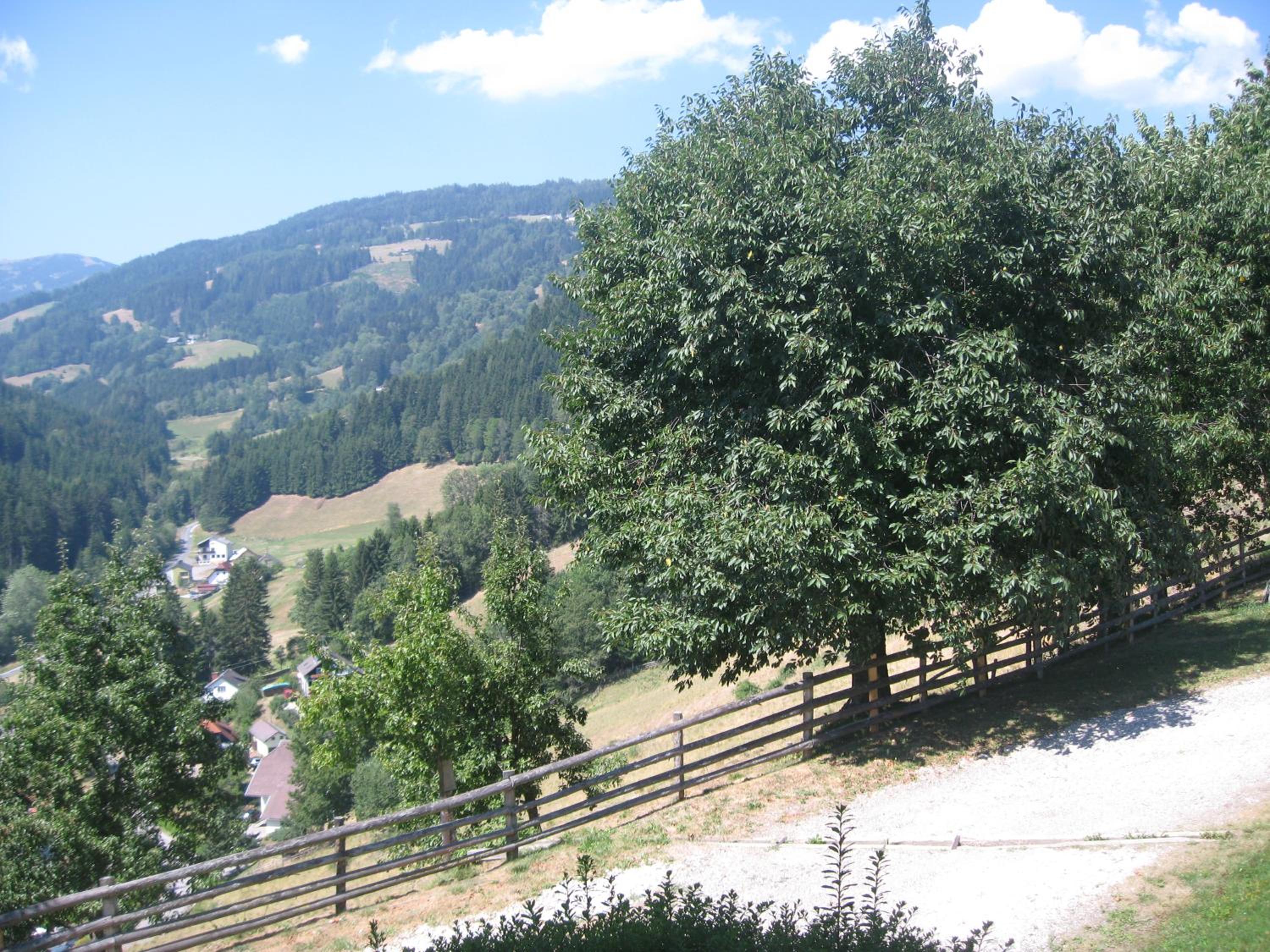 Gerstbreinhof