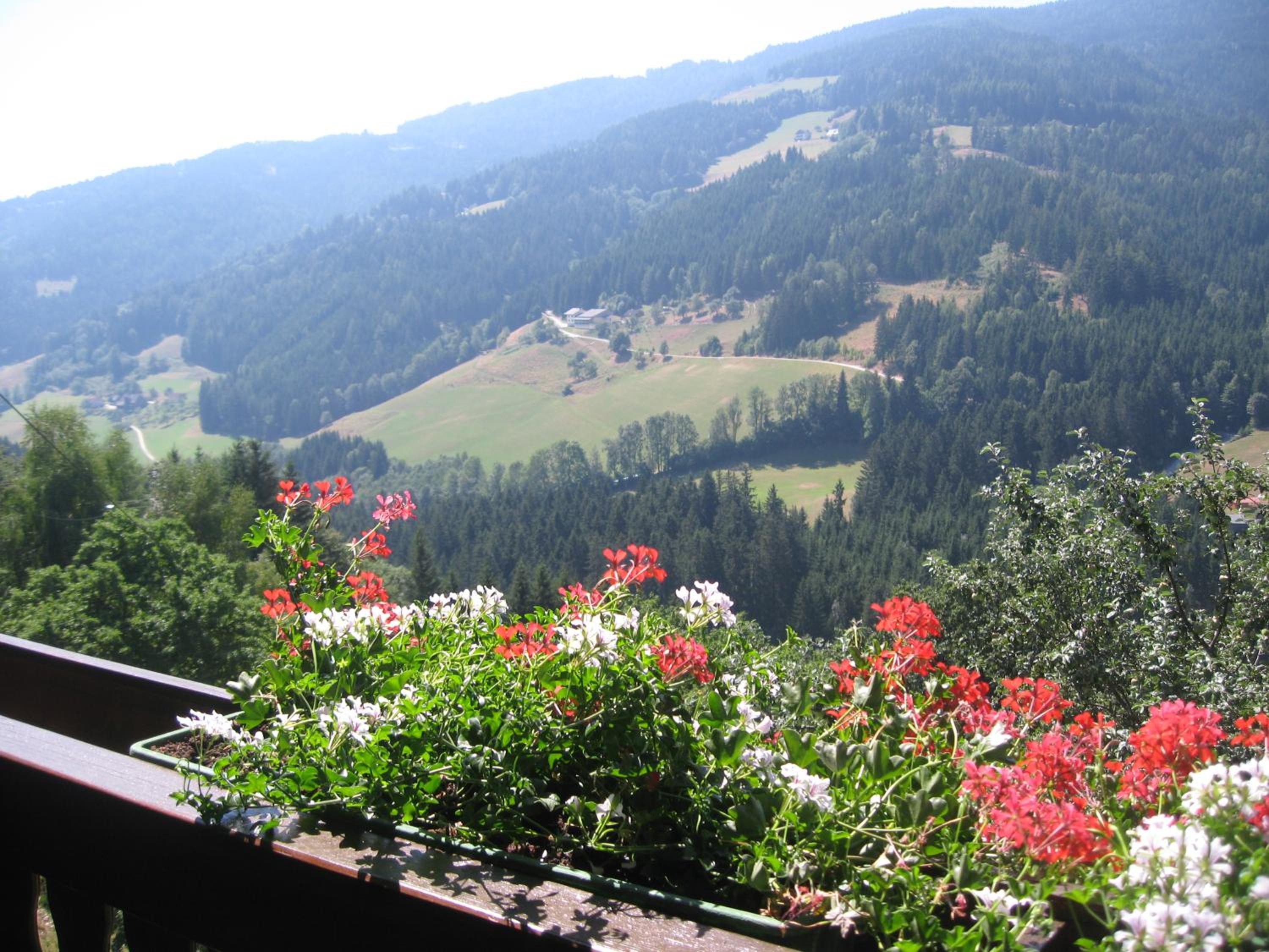 Gerstbreinhof