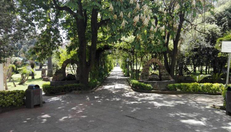 Villa Klaudia - charming house