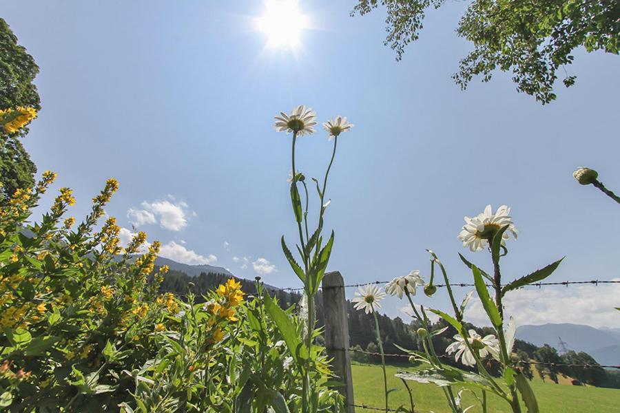 Ferienwohnung Schwalbenwandblick view 4
