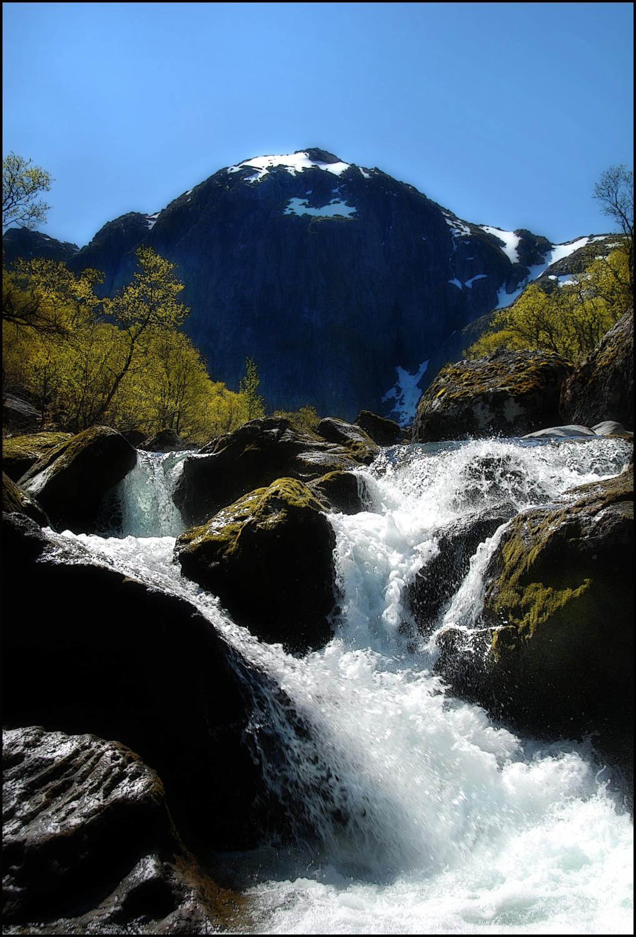 Photo 29
