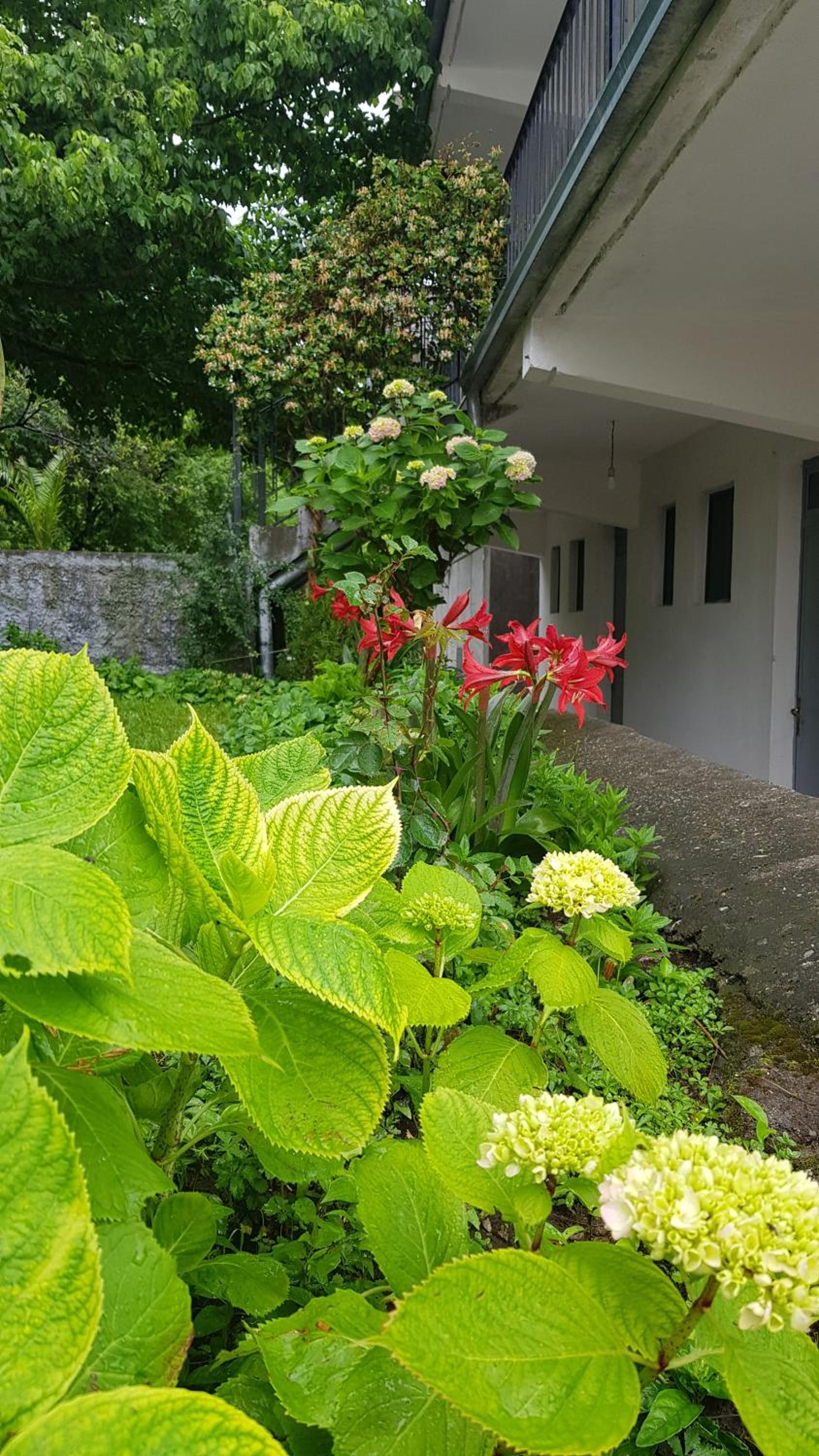 ROOMS balani