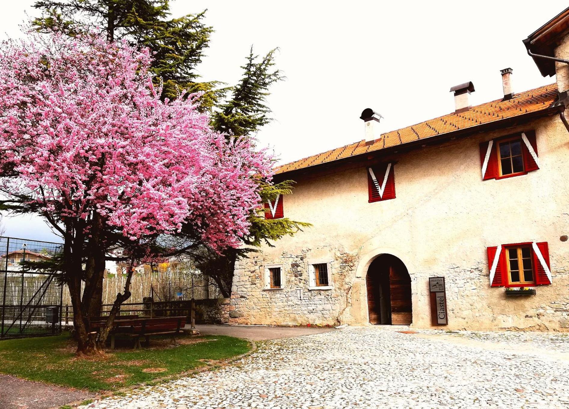 Agritur Ciastel photo 2