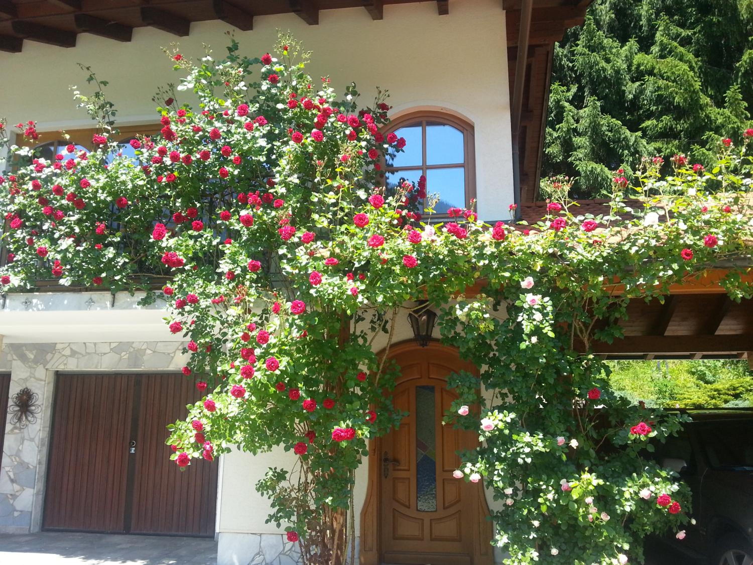 Ferienhaus Kramser