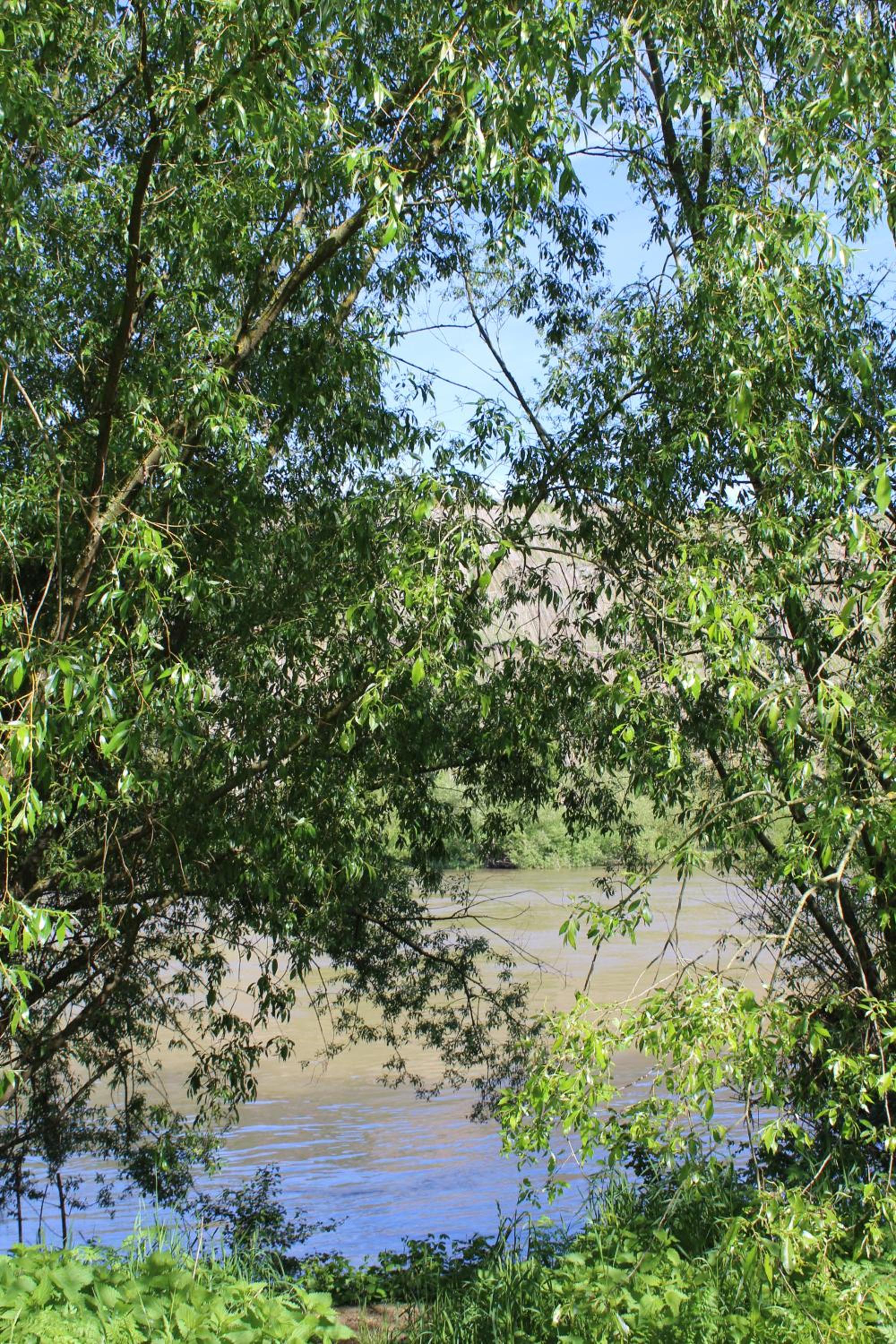 FeWo Freis in Brauneberg