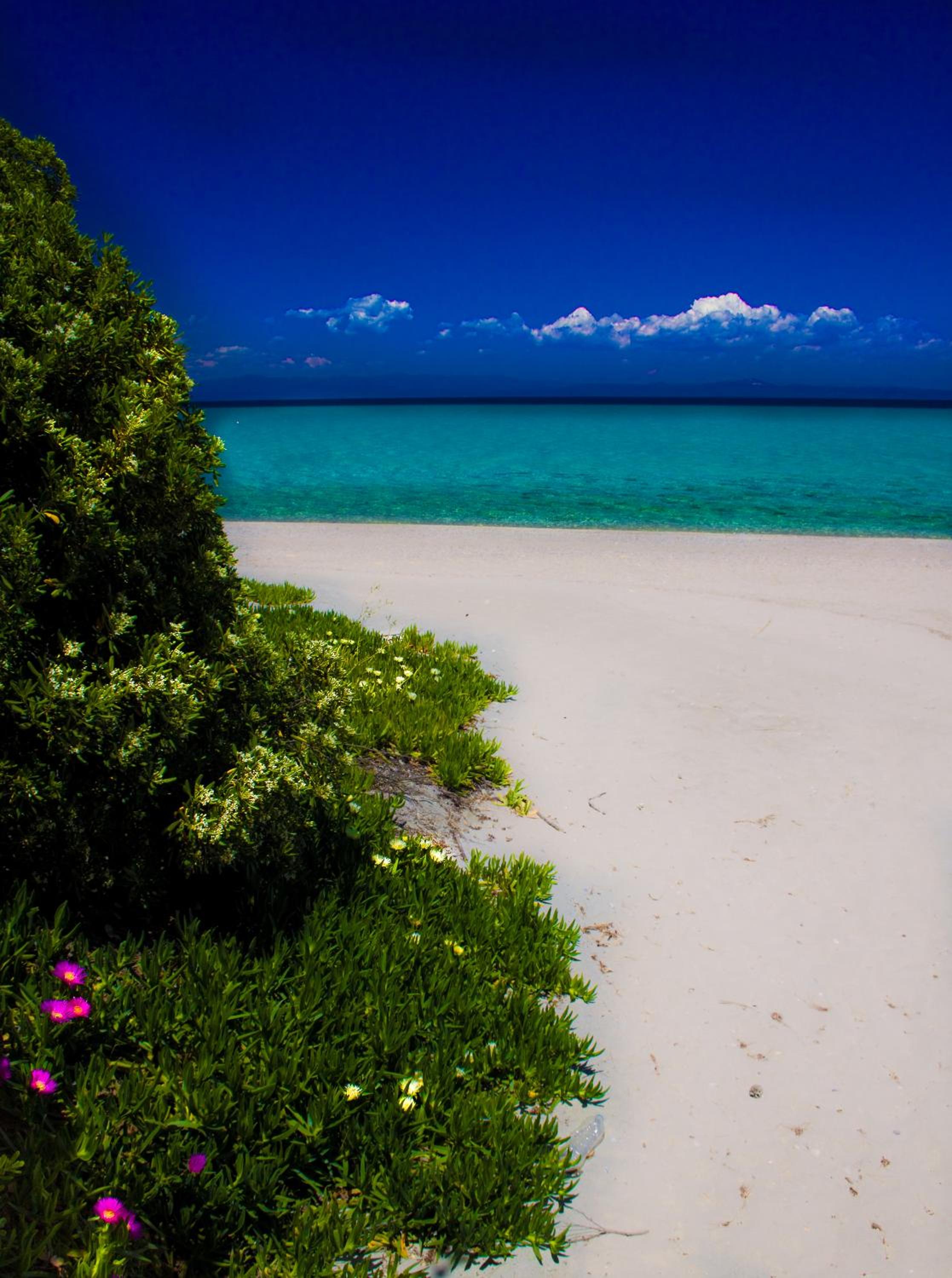 Paradise Family House in Chalkidiki Chanioti view 4