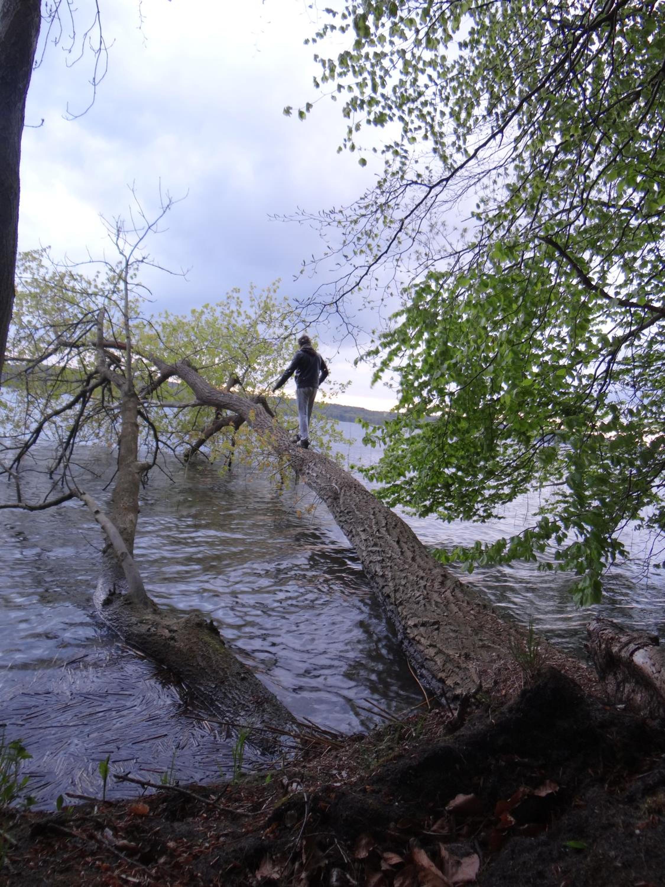 Photo 28