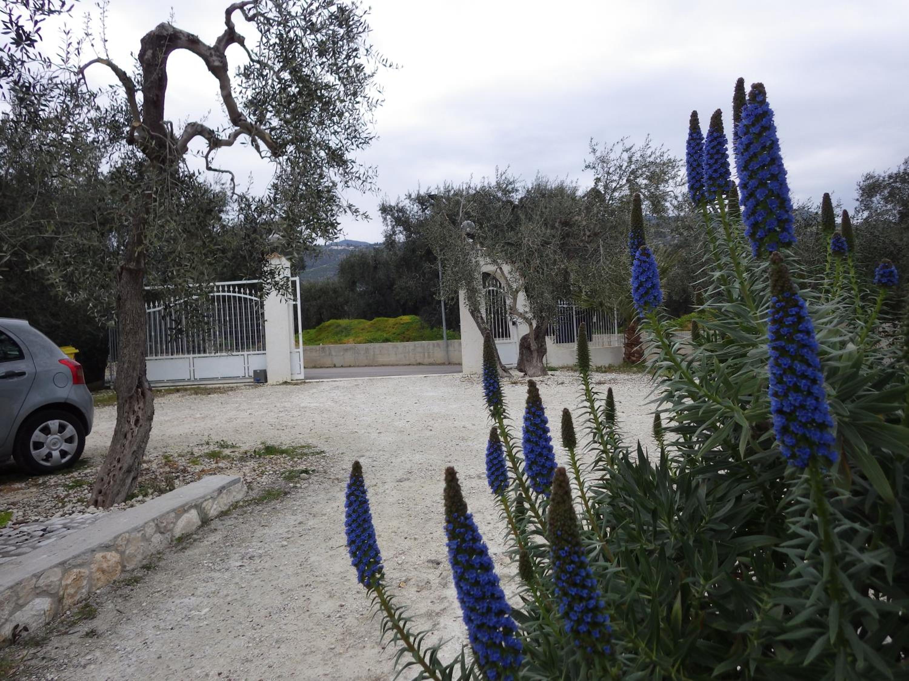 Photo 11