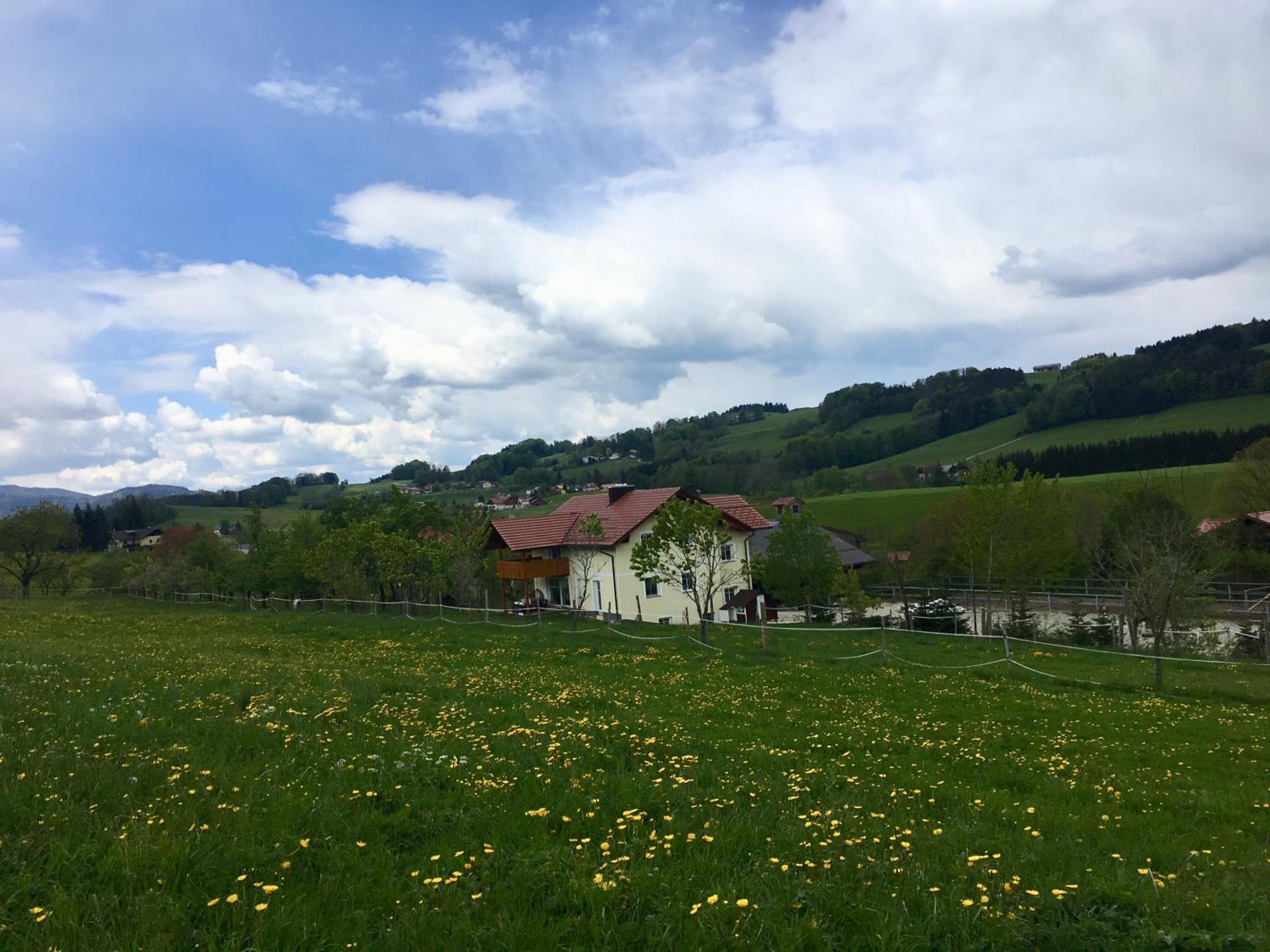 Ferienwohnungen Schlader