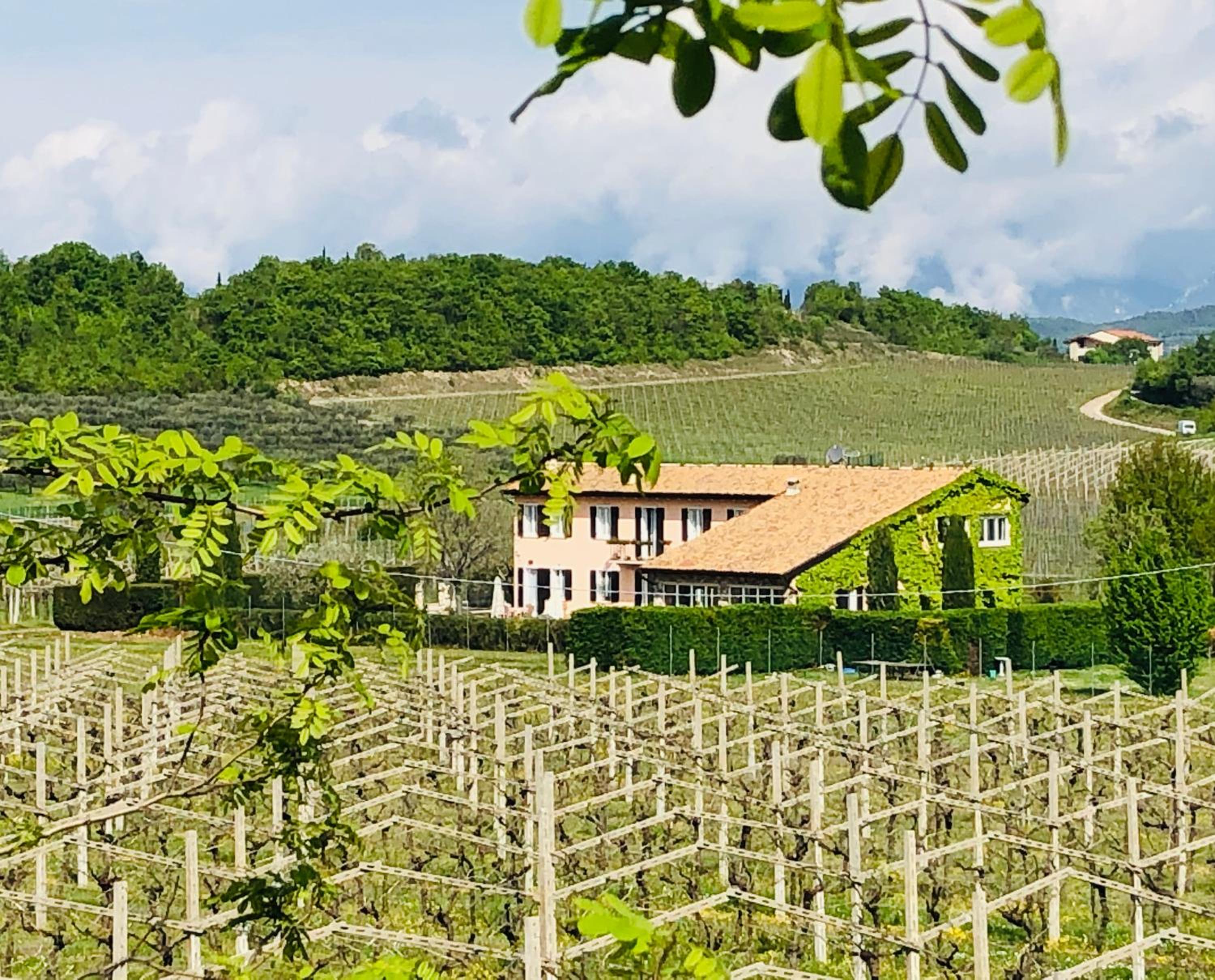 Cà Vettor